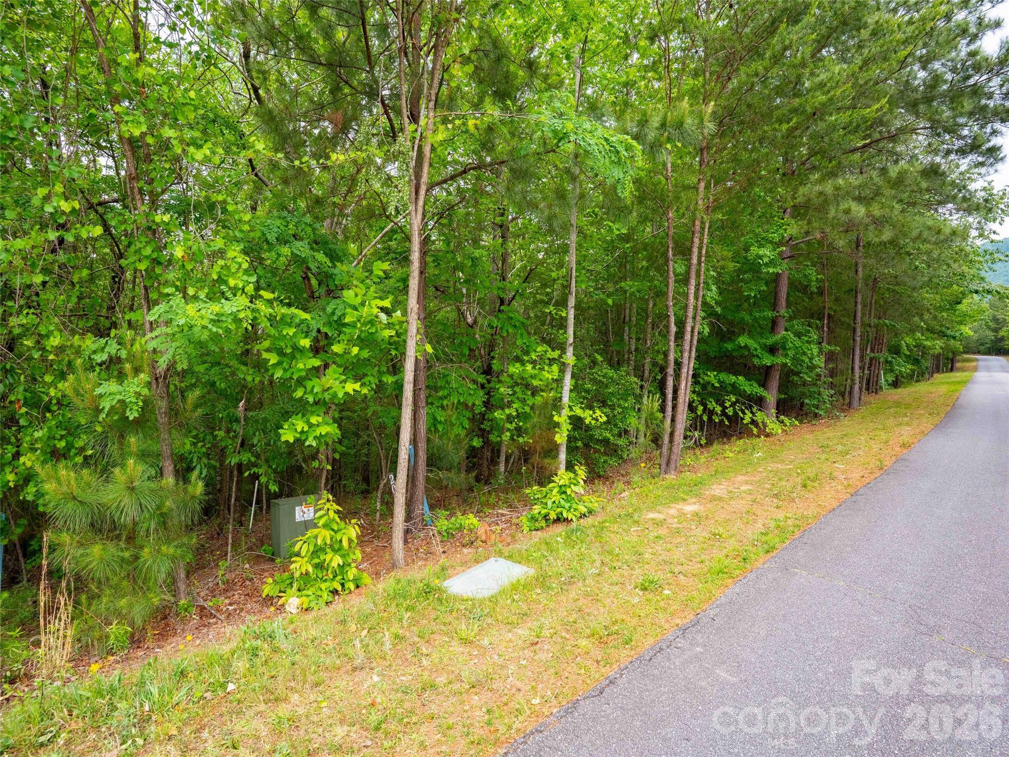 LOT 2009 Deep Gap Farm RD W, Mill Spring, NC 28756