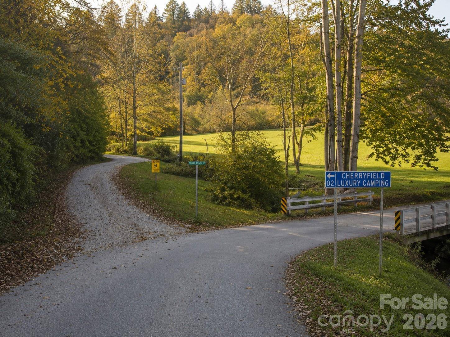 195 Still Waters LN, Brevard, NC 28712