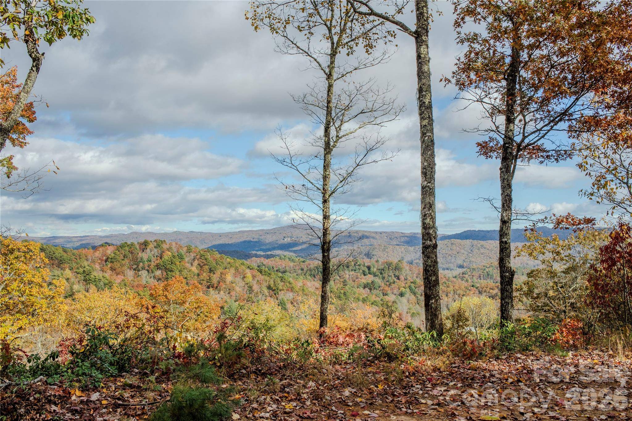 195 Still Waters LN, Brevard, NC 28712