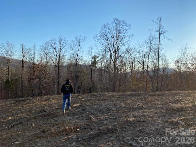 0 Osprey LN, Nebo, NC 28761