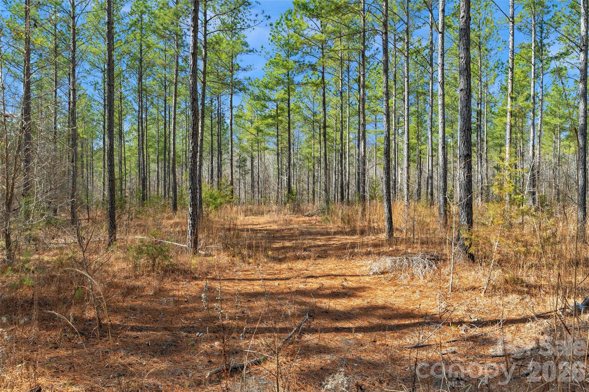 000 Peacehaven RD #4, Mcconnells, SC 29726