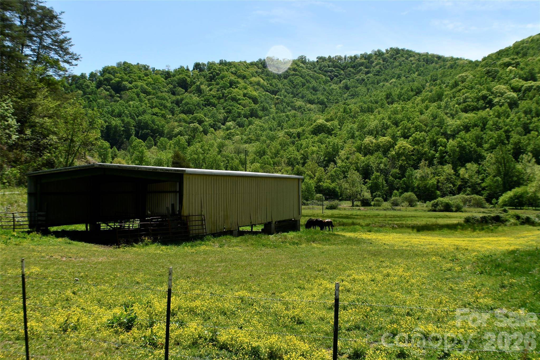 8200 Caney Fork RD, Cullowhee, NC 28723