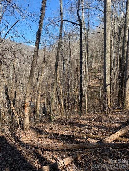 Lot 3 Cedar Mountain RD #3, Asheville, NC 28803