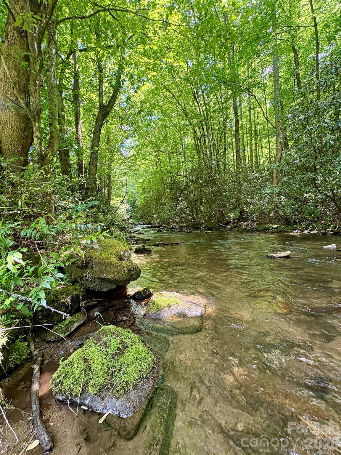 0 Alarka RD #48, Bryson City, NC 28713