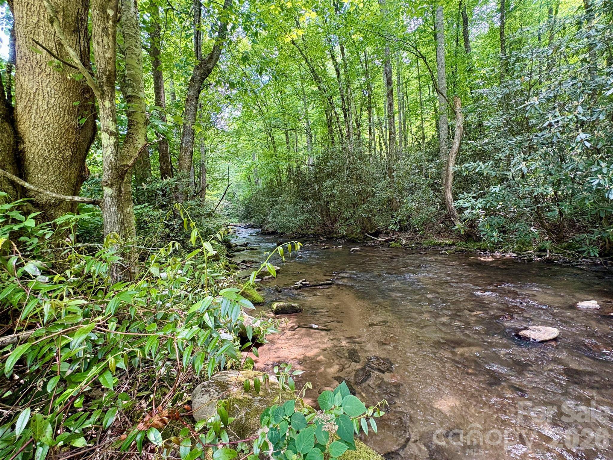0 Alarka RD #48, Bryson City, NC 28713