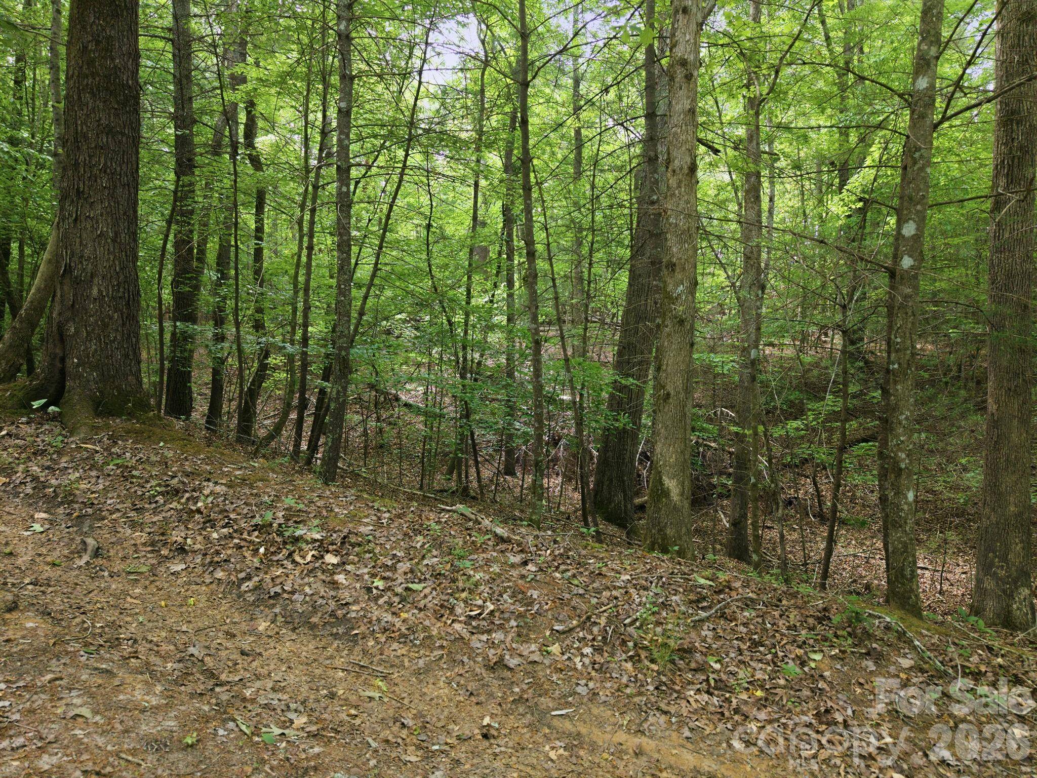 2411 Hundred Acres LN, Lenoir, NC 28645