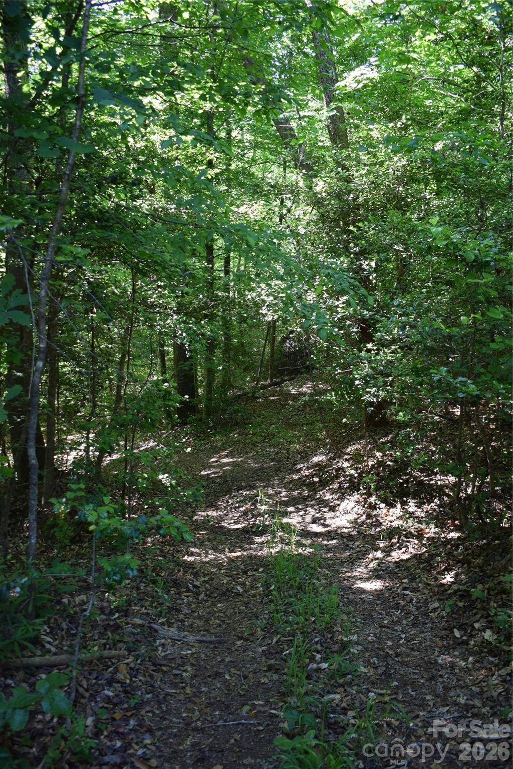 0 Floyd Blackwell RD, Tryon, NC 28722