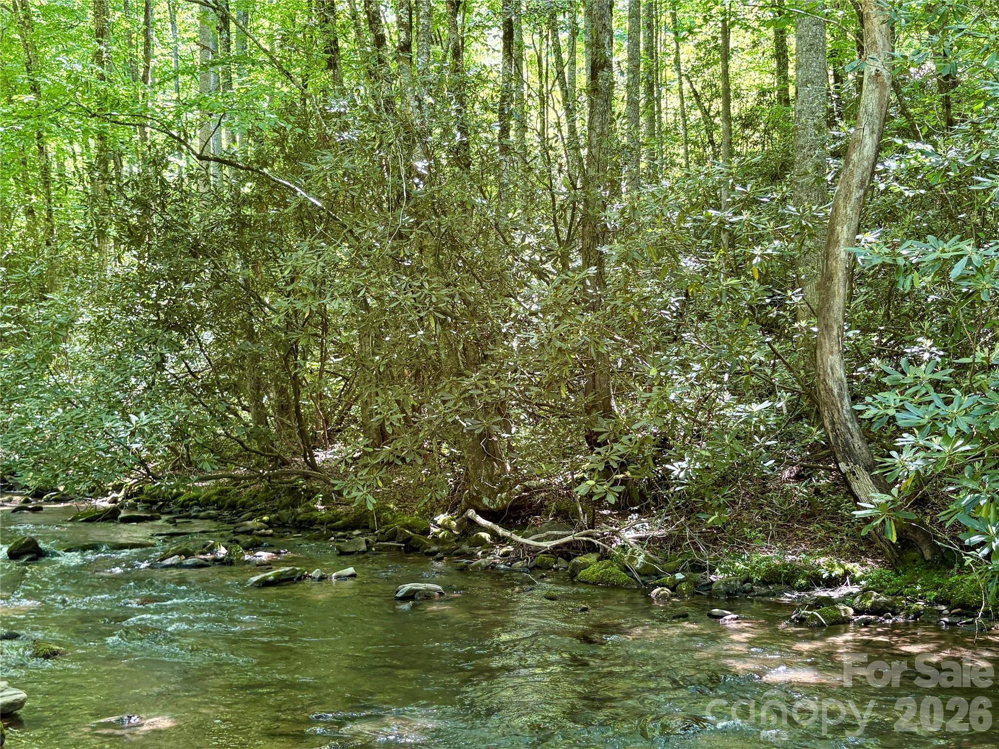 0 Timber Estates RD #11, Bryson City, NC 28713