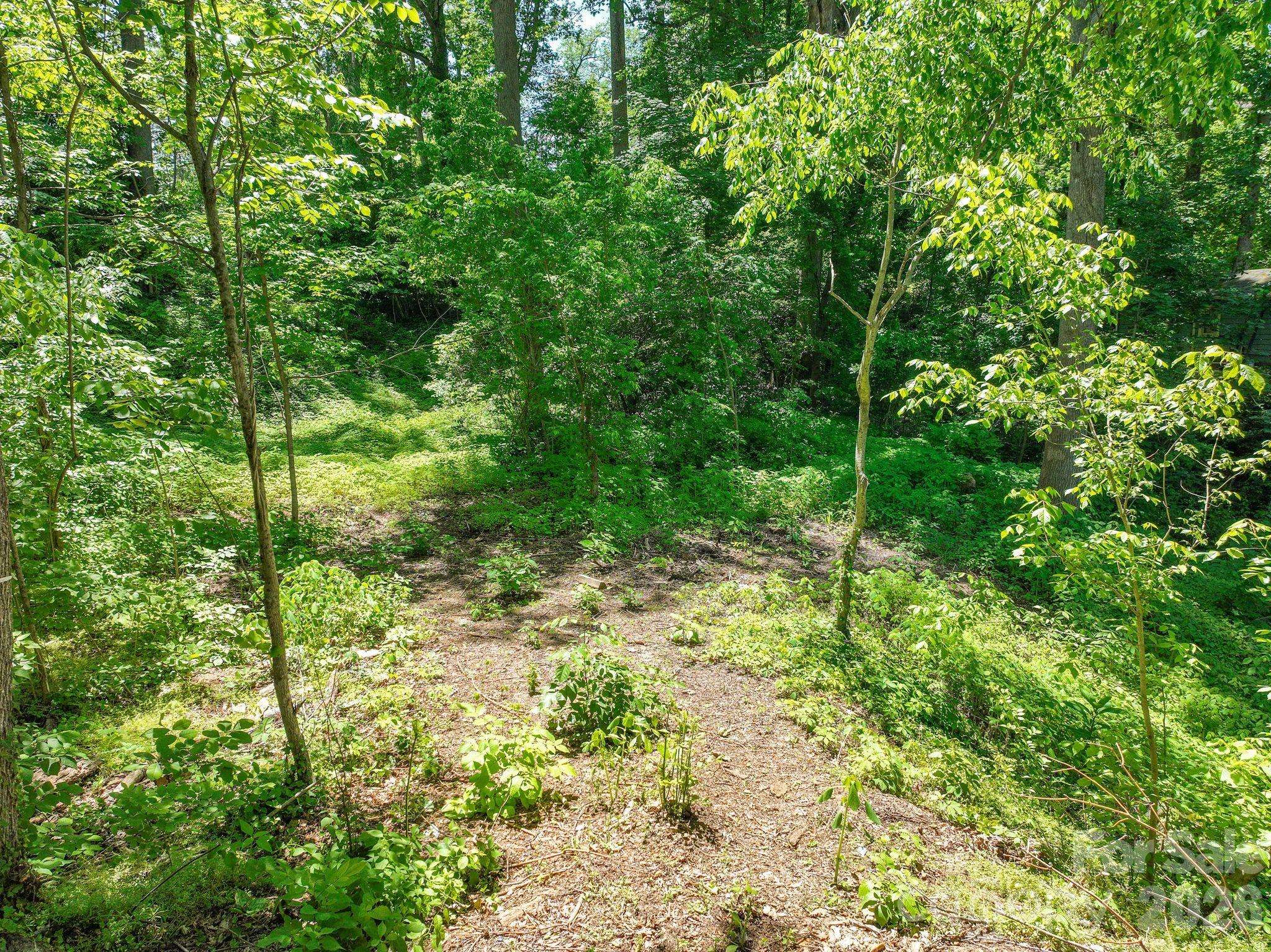 99999 Montford AVE, Asheville, NC 28801