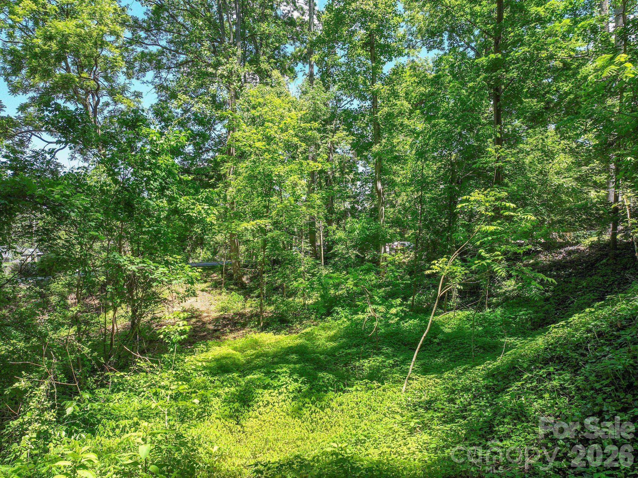 99999 Montford AVE, Asheville, NC 28801