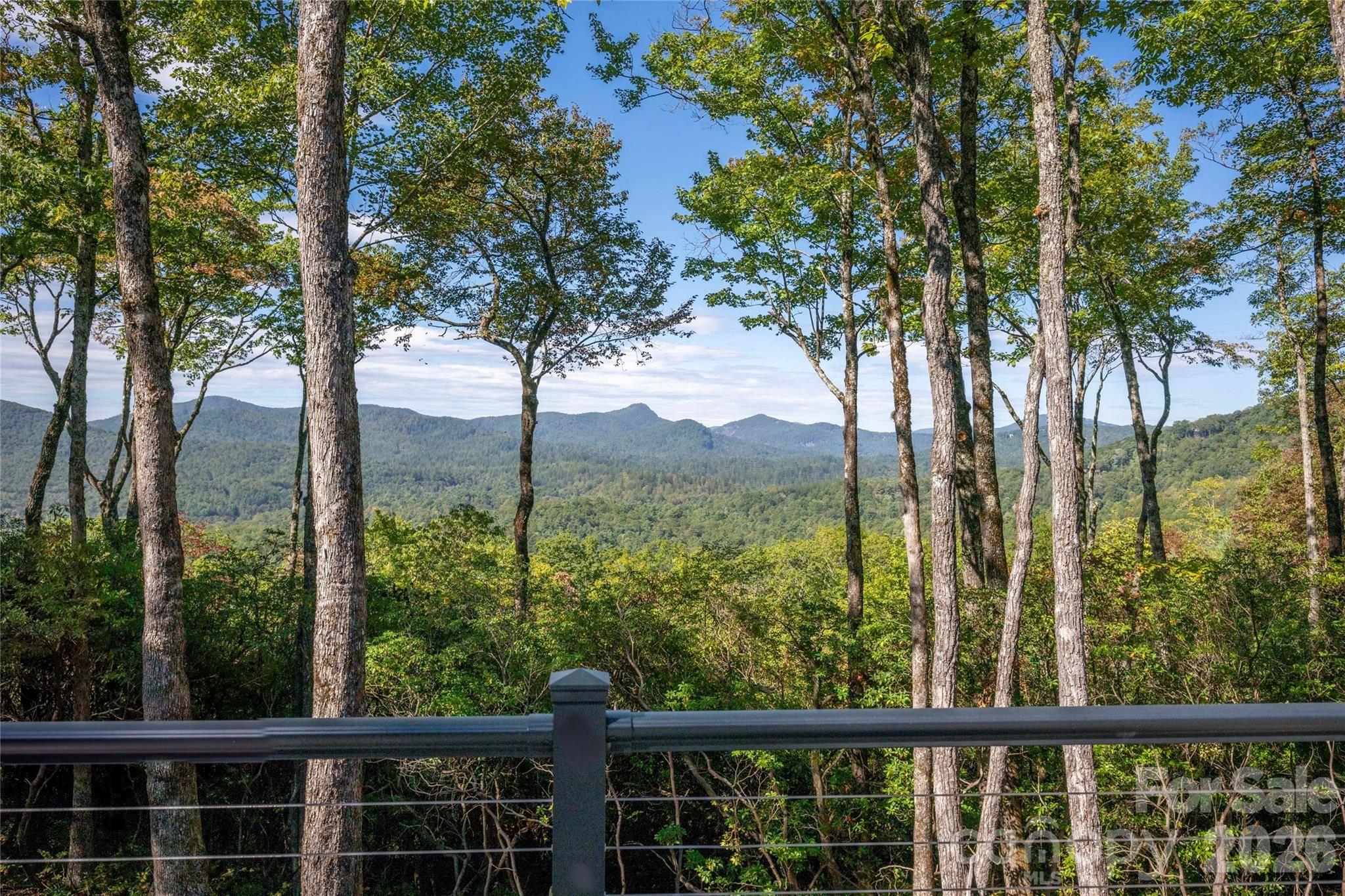 519 Eagle DR, Sapphire, NC 28774