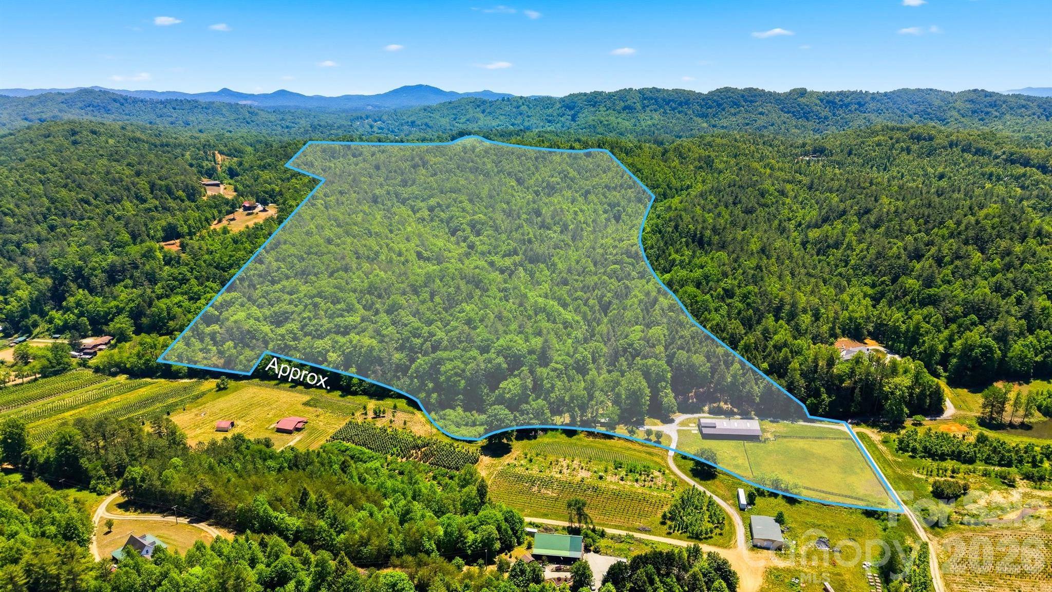 81 +/- Acres 2967 Roby Martin RD, Lenoir, NC 28645