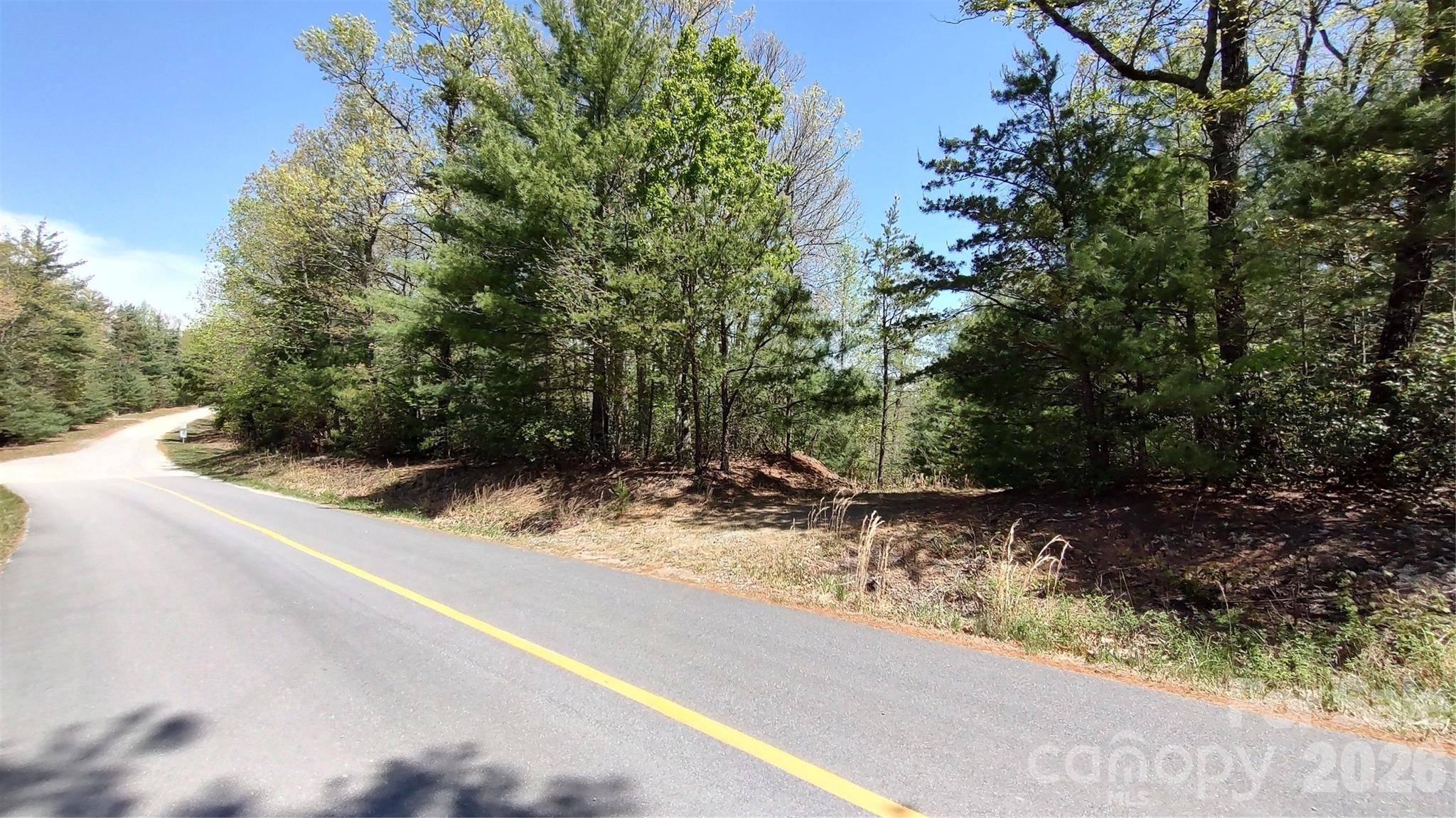 0 Staghorn RD, Purlear, NC 28665