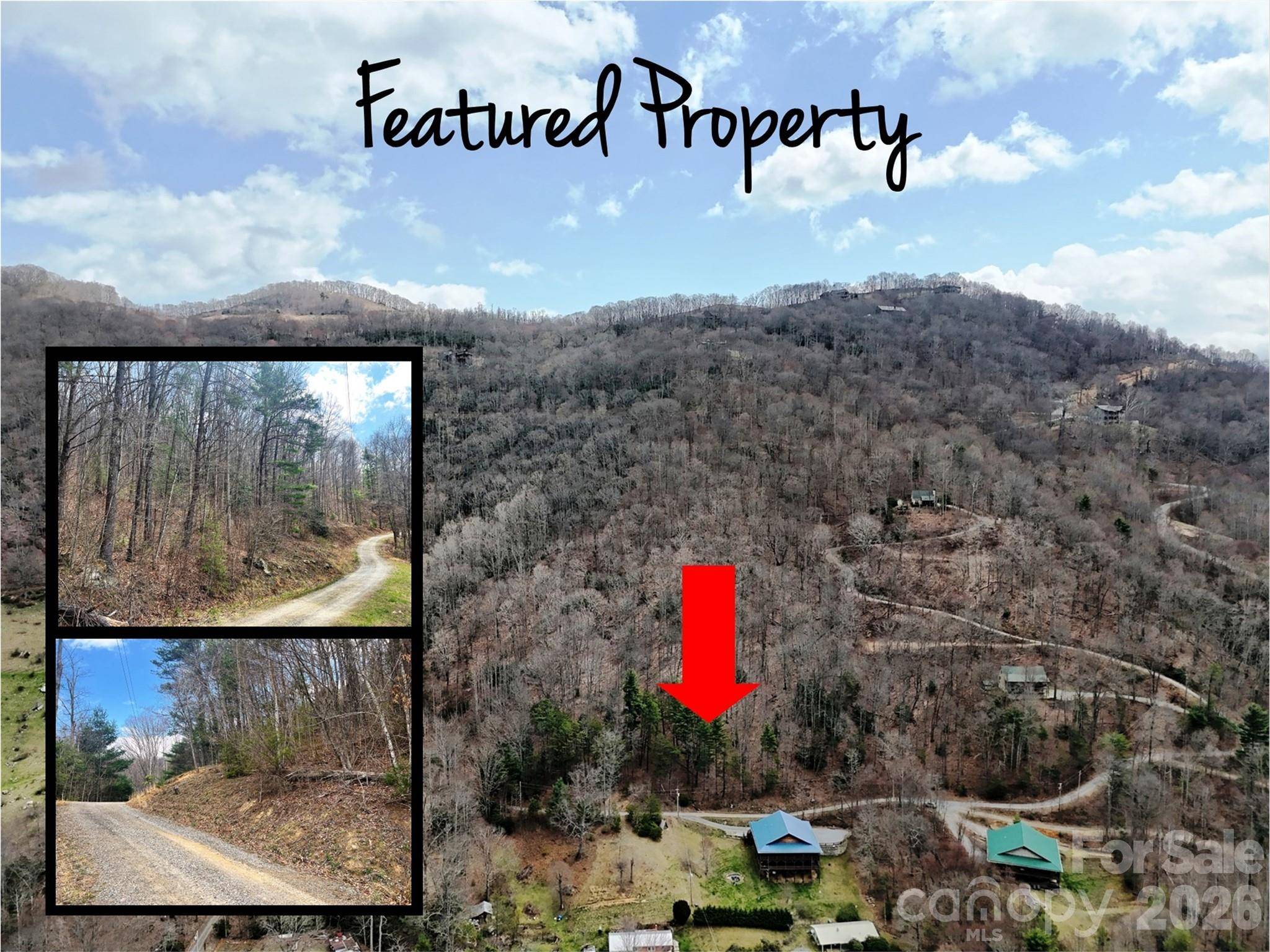 TBD Moonbeam LN #101,102, Clyde, NC 28721