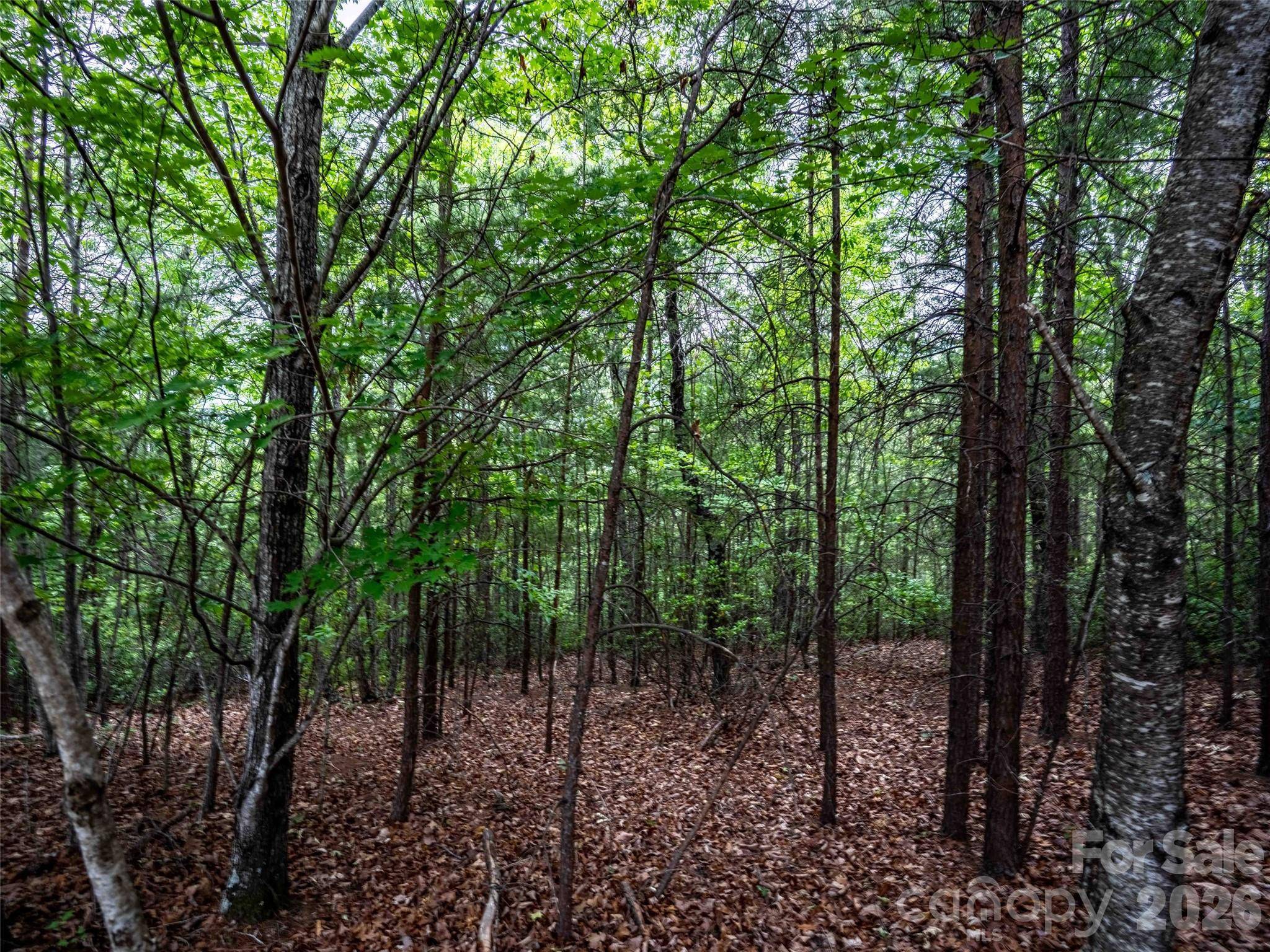 38 Deep Gap Farm RD E #38, Mill Spring, NC 28756