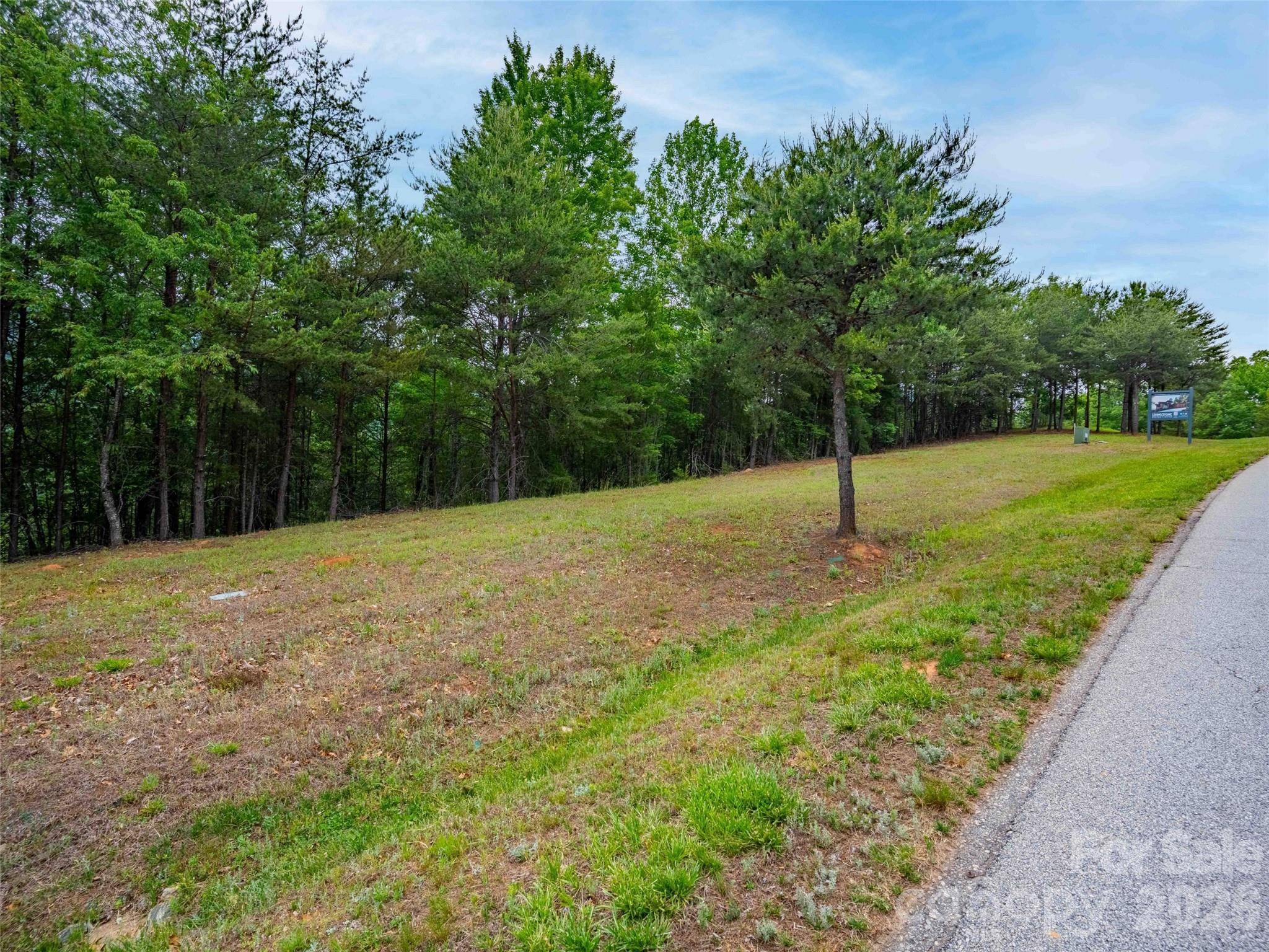 38 Deep Gap Farm RD E #38, Mill Spring, NC 28756