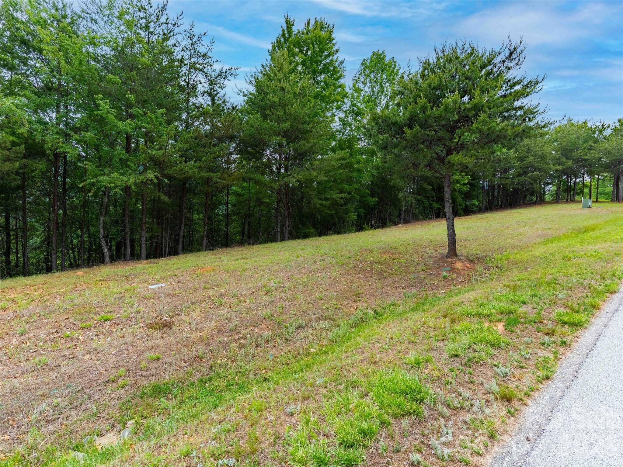 38 Deep Gap Farm RD E #38, Mill Spring, NC 28756