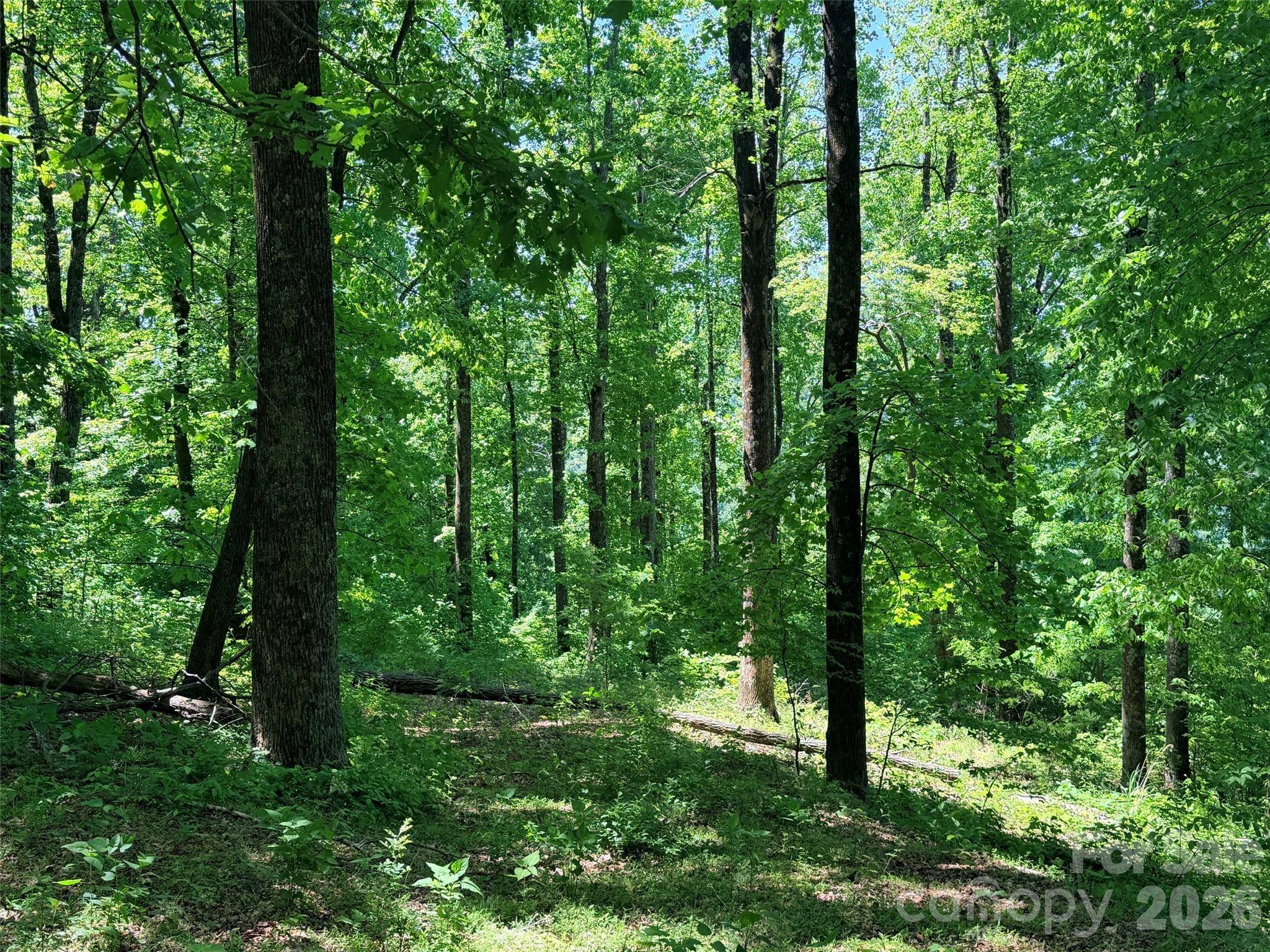 Lot 10 Timbercliff TRL, Black Mountain, NC 28711