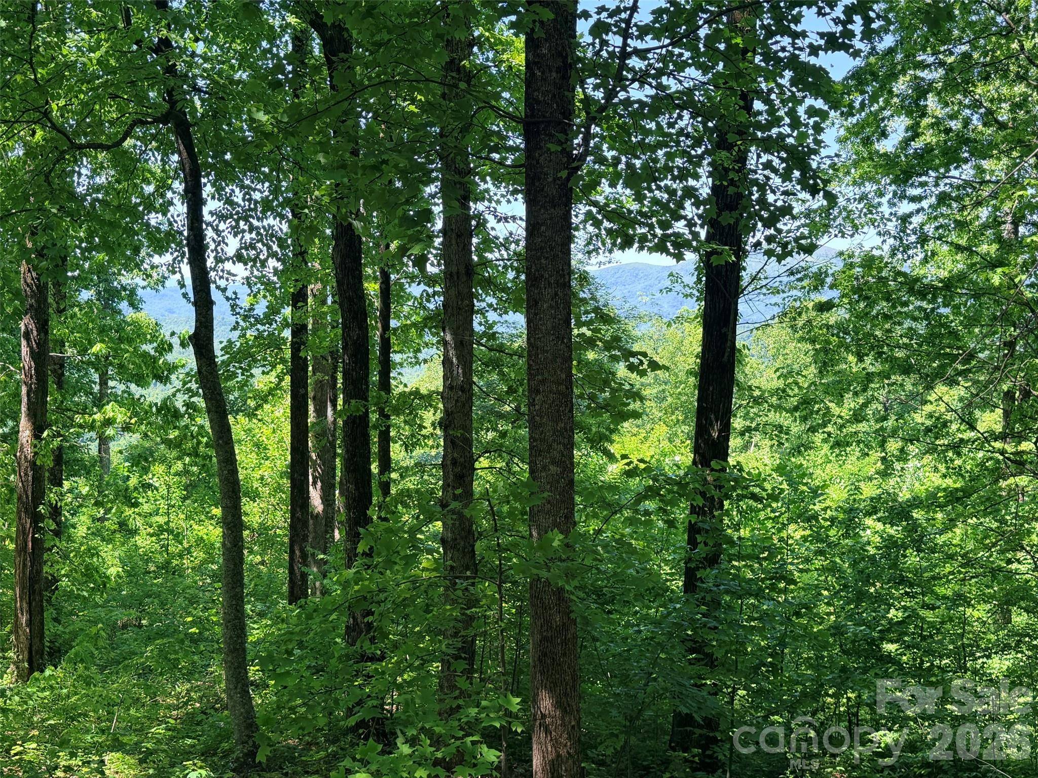 Lot 10 Timbercliff TRL, Black Mountain, NC 28711