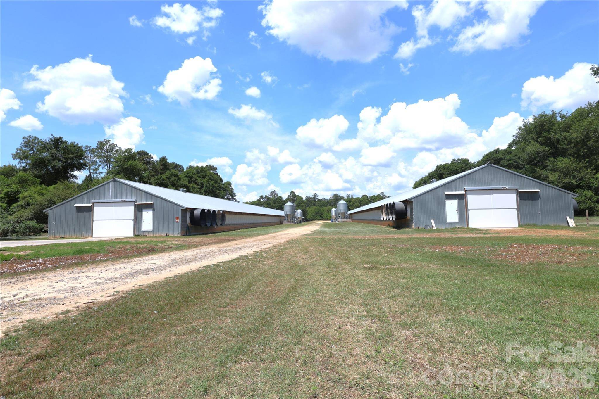 2121 Whitetail RD, Blackville, SC 29817