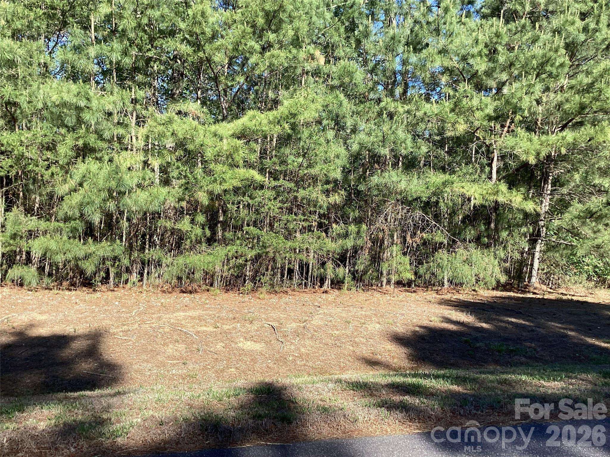 307 Twin Cove DR #125, Connelly Springs, NC 28612