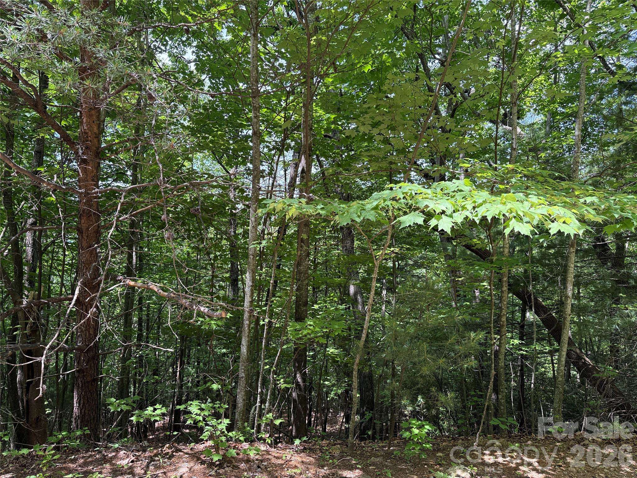 TBD Warren WAY #132A, Purlear, NC 28665