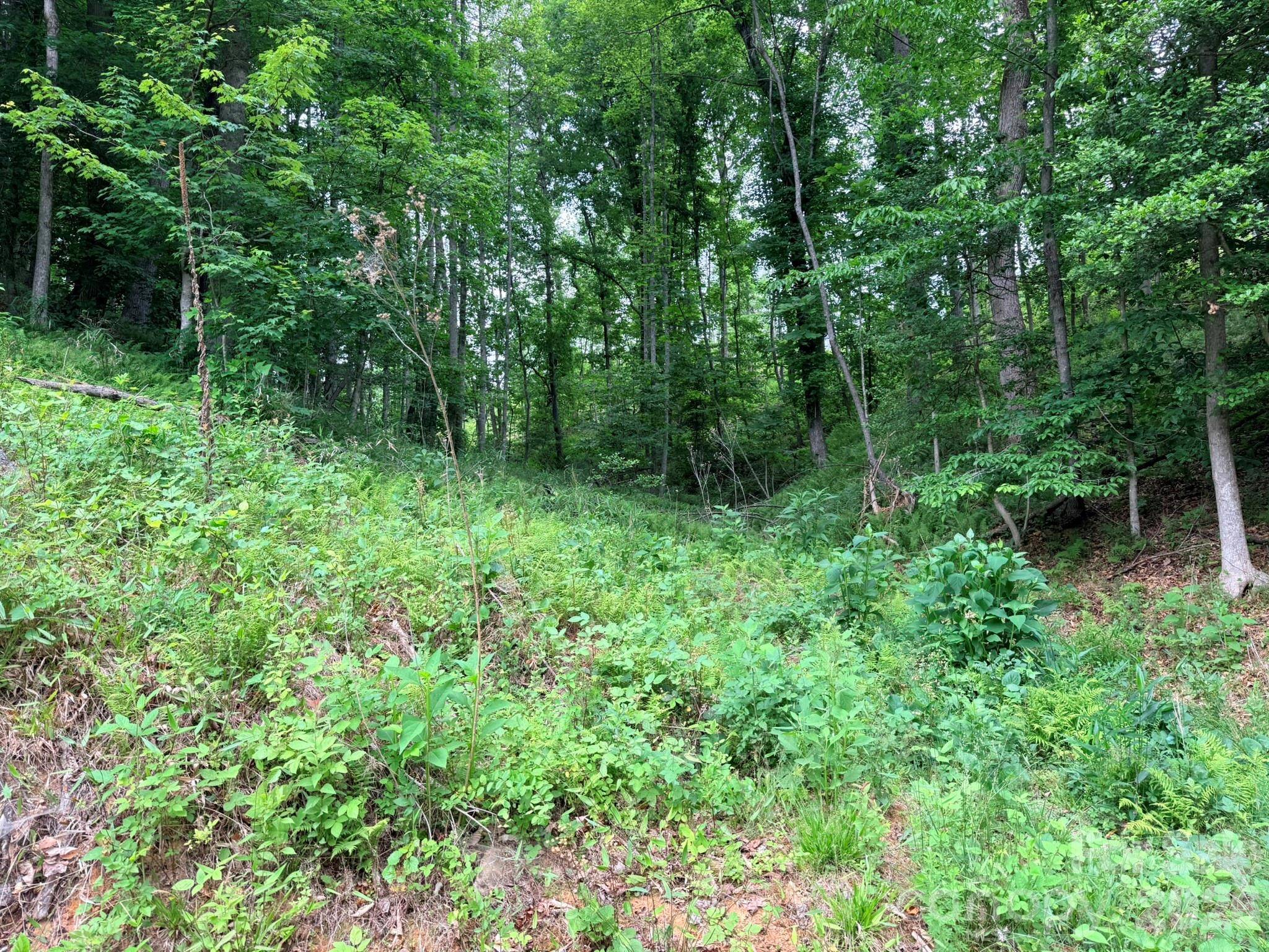 TBD N Marley Ford RD, Ferguson, NC 28624