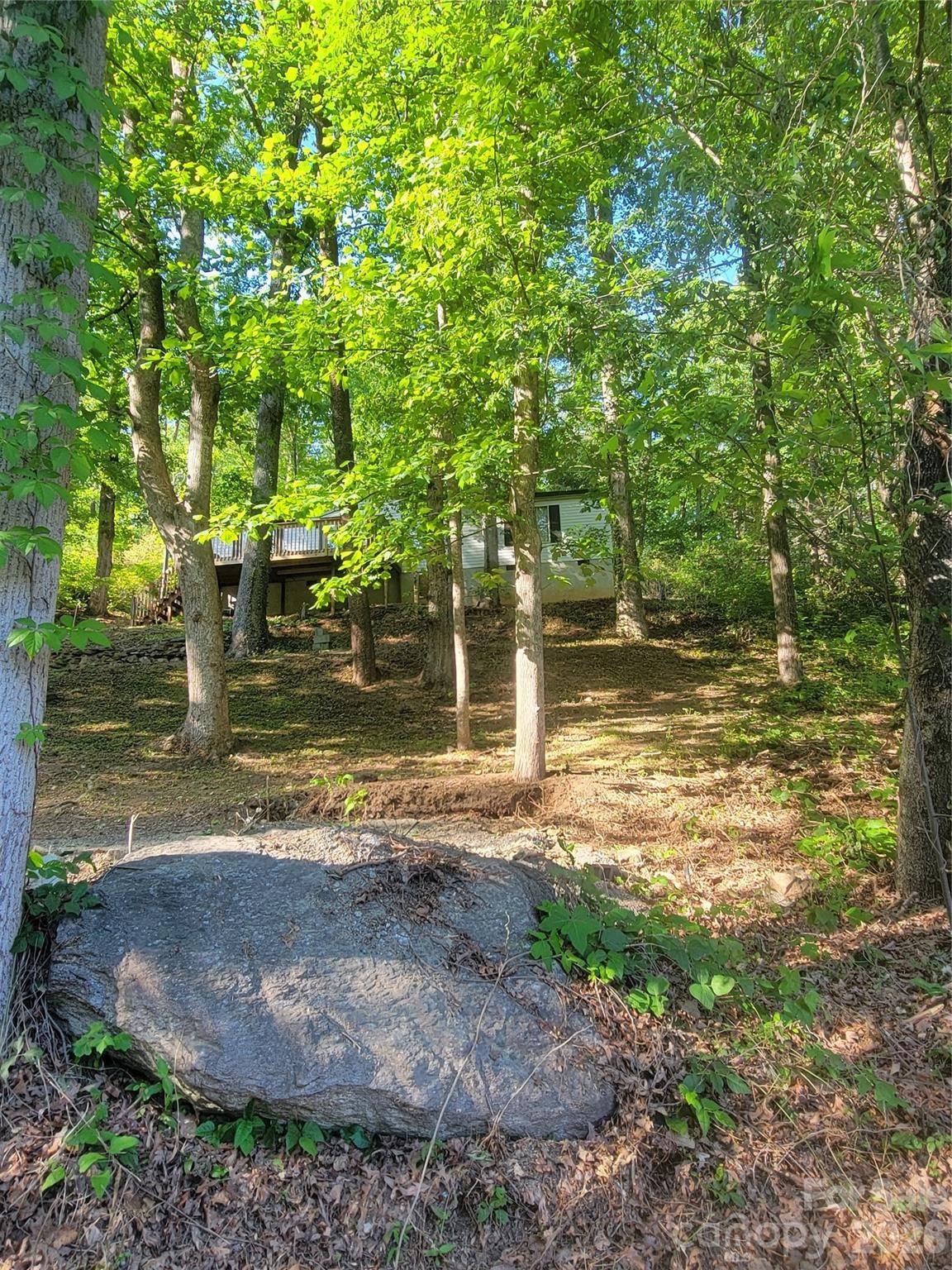 138 Buddy LN, Chimney Rock, NC 28720