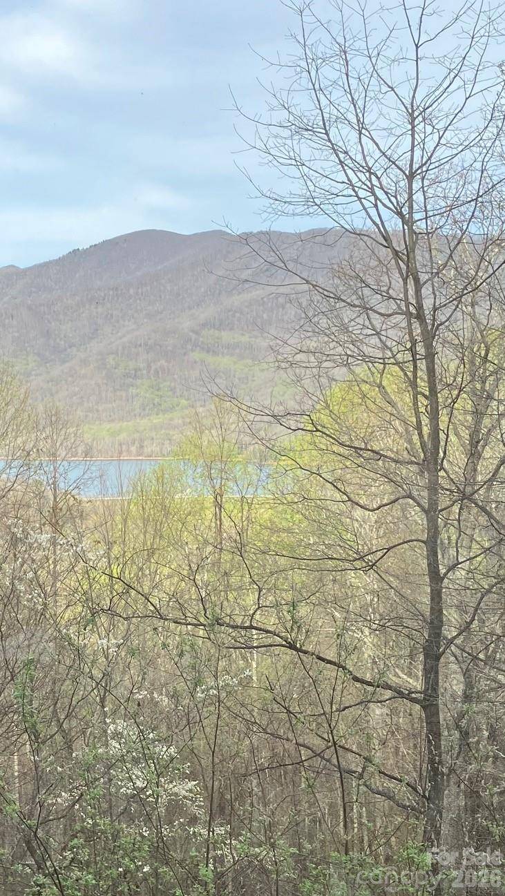 22 Great Aspen WAY, Black Mountain, NC 28711