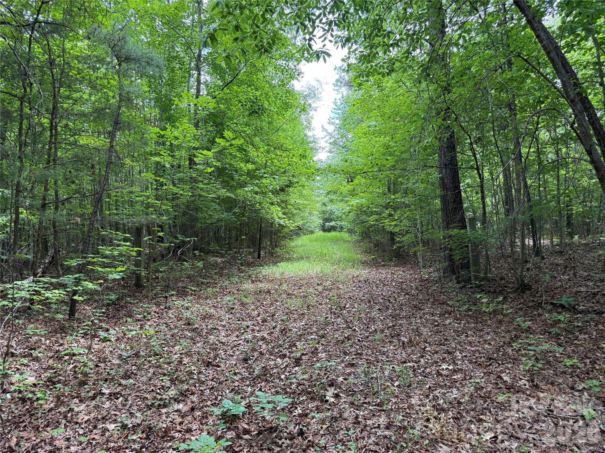 0 Herbert Faucette RD, Bullock, NC 27507