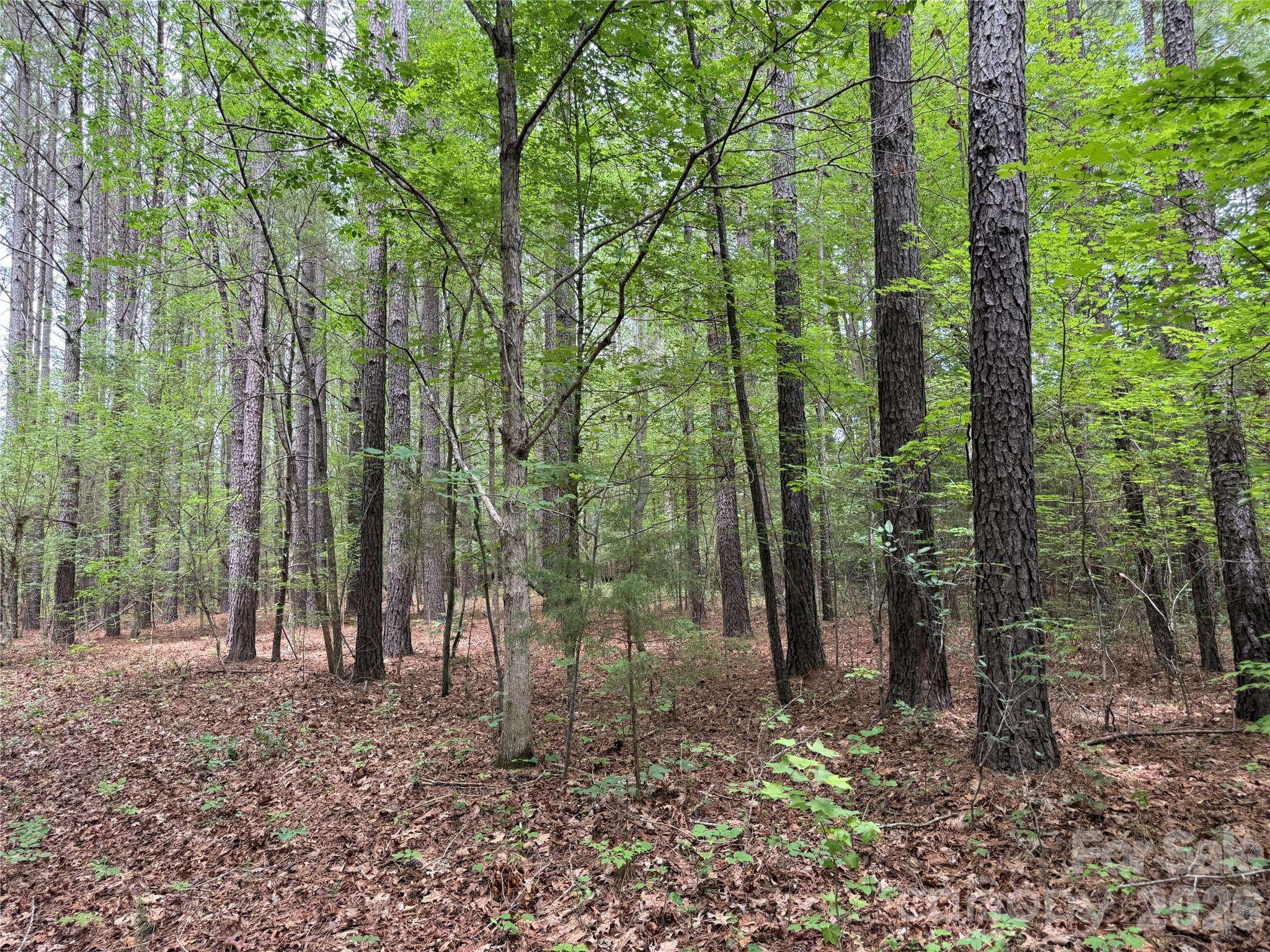 0 Herbert Faucette RD, Bullock, NC 27507