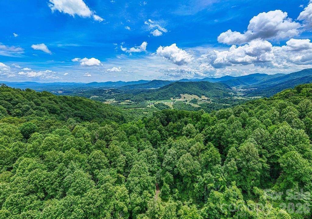 9999 Sandy Mush Creek RD, Leicester, NC 28748