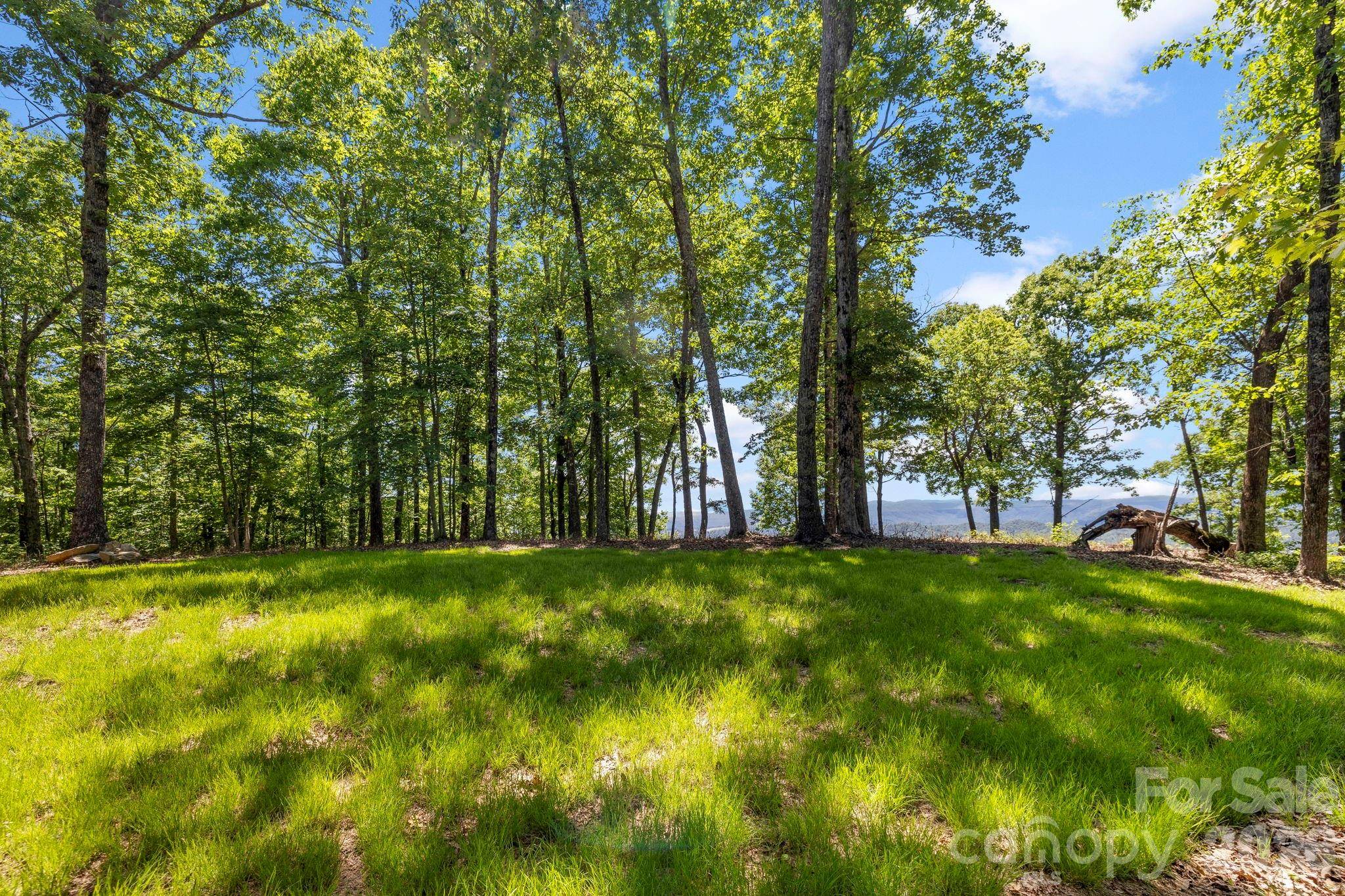 9999 Rocky Mountain RD, Lake Toxaway, NC 28747
