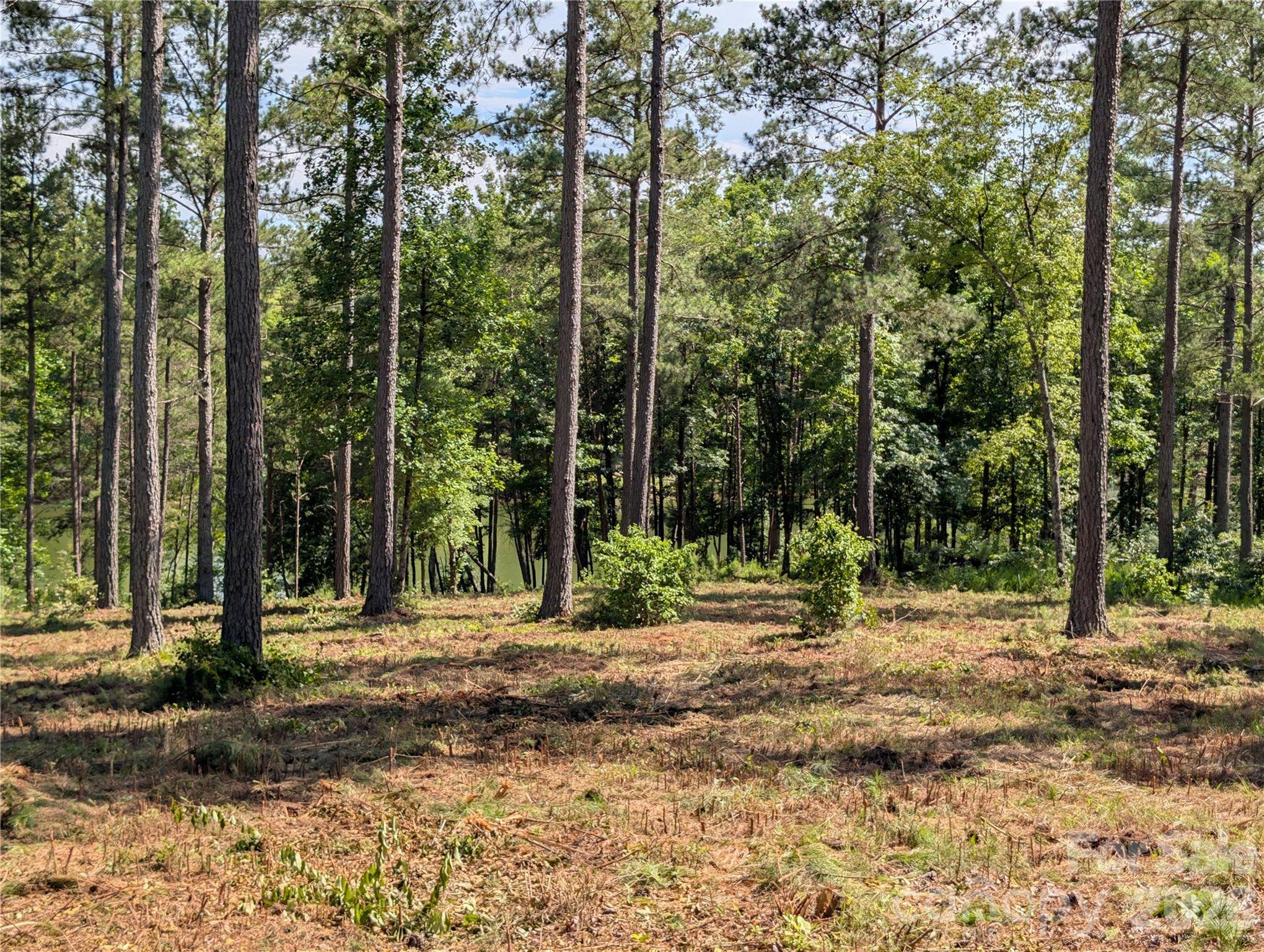 2134 Princeton Mountain MTN #60, Connelly Springs, NC 28612