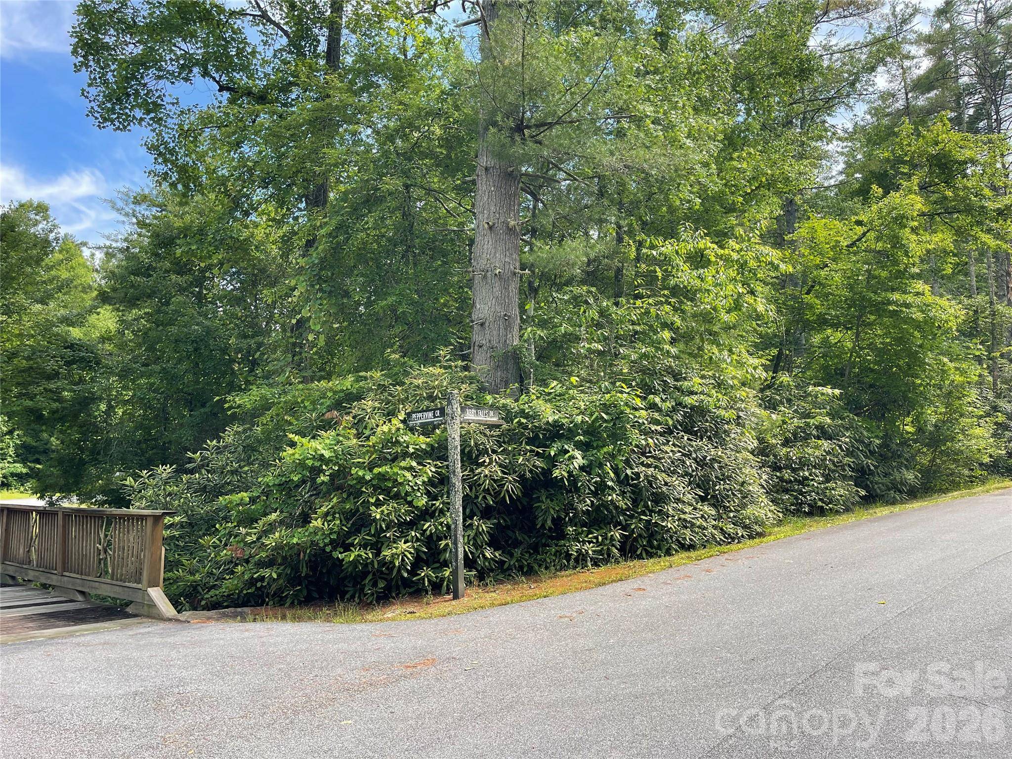 Lot 45 Abby Falls DR, Rosman, NC 28772