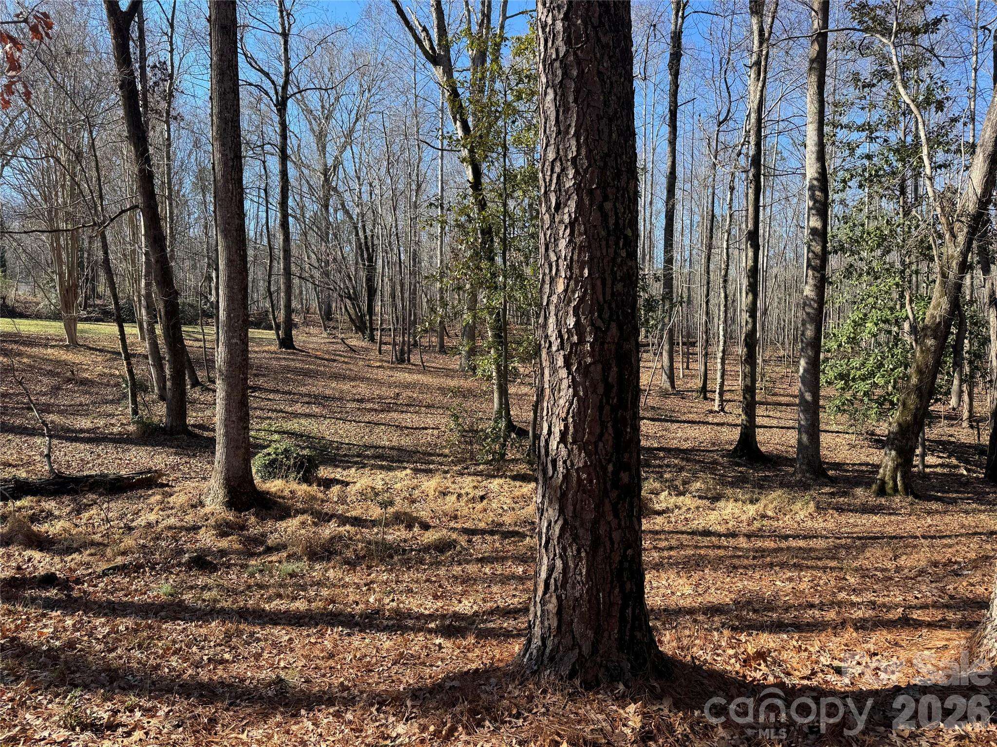 0 BISCOE RD, Troy, NC 27371