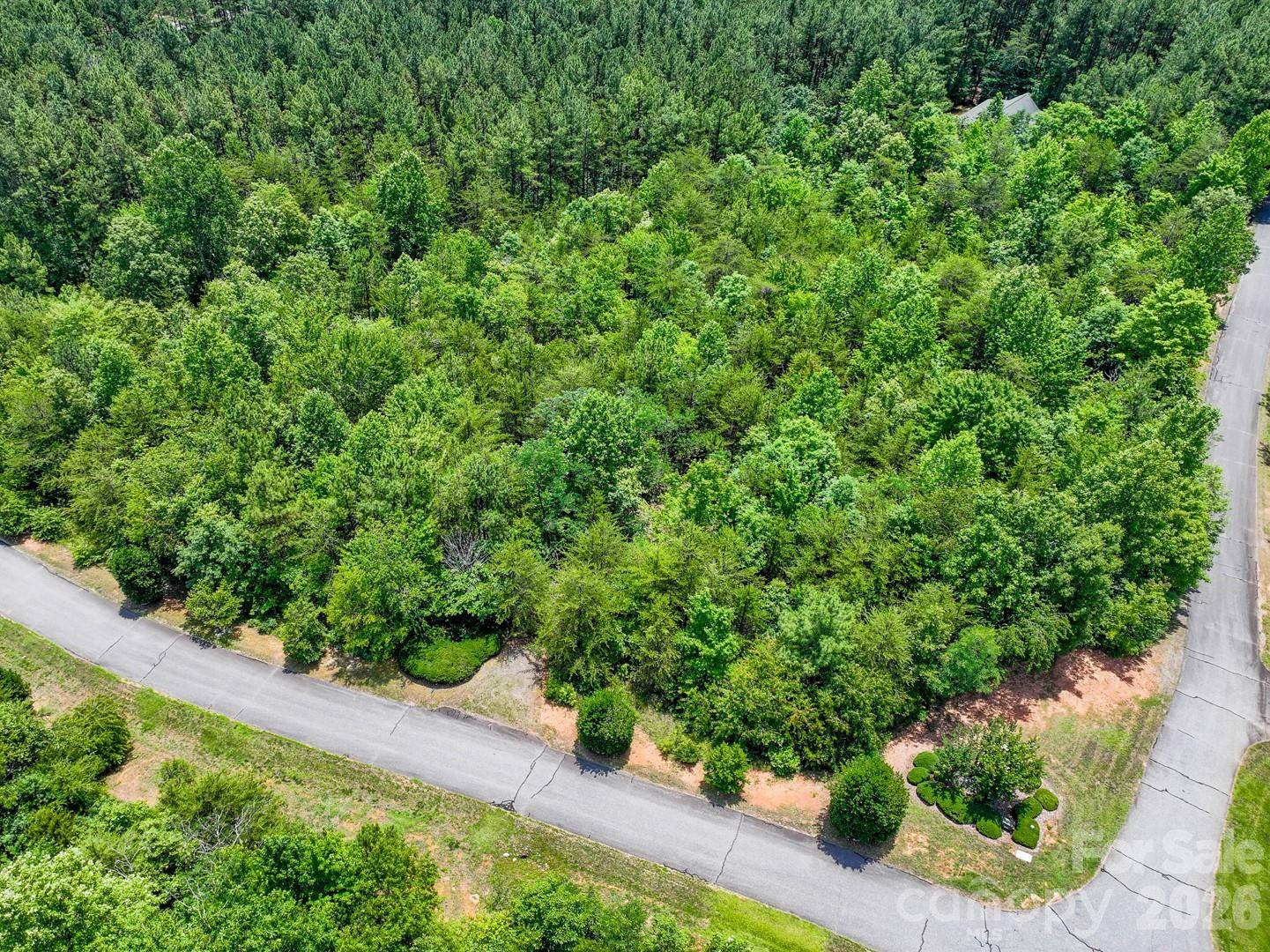 121 Jobes TRL #35, Mill Spring, NC 28756
