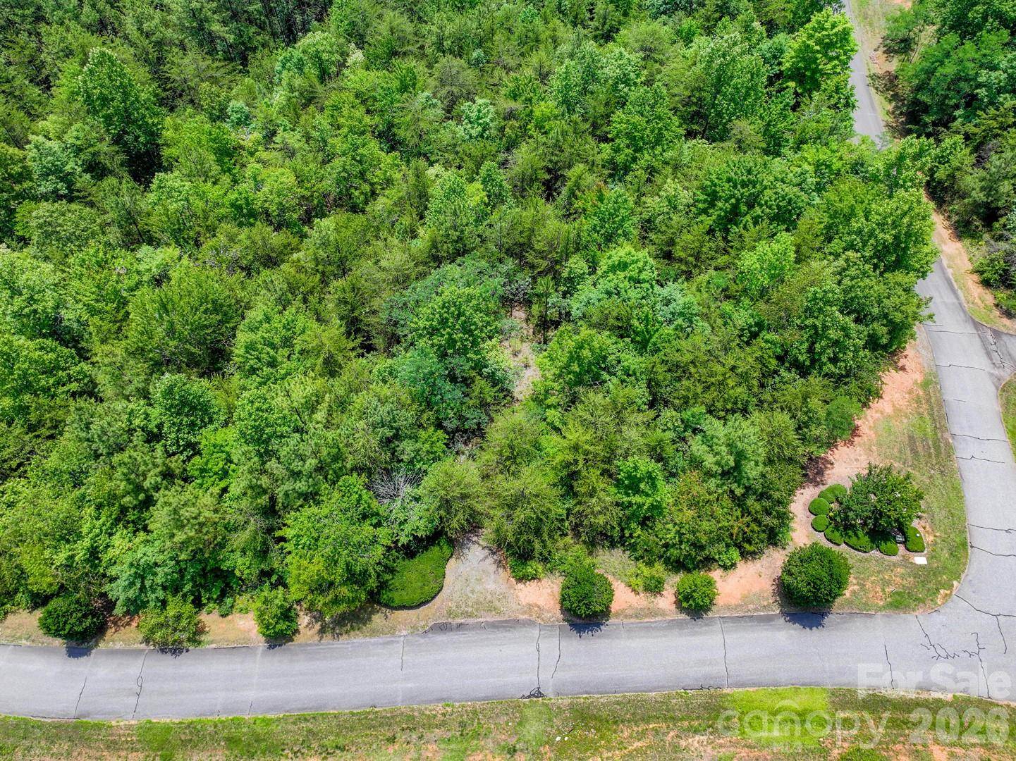 121 Jobes TRL #35, Mill Spring, NC 28756