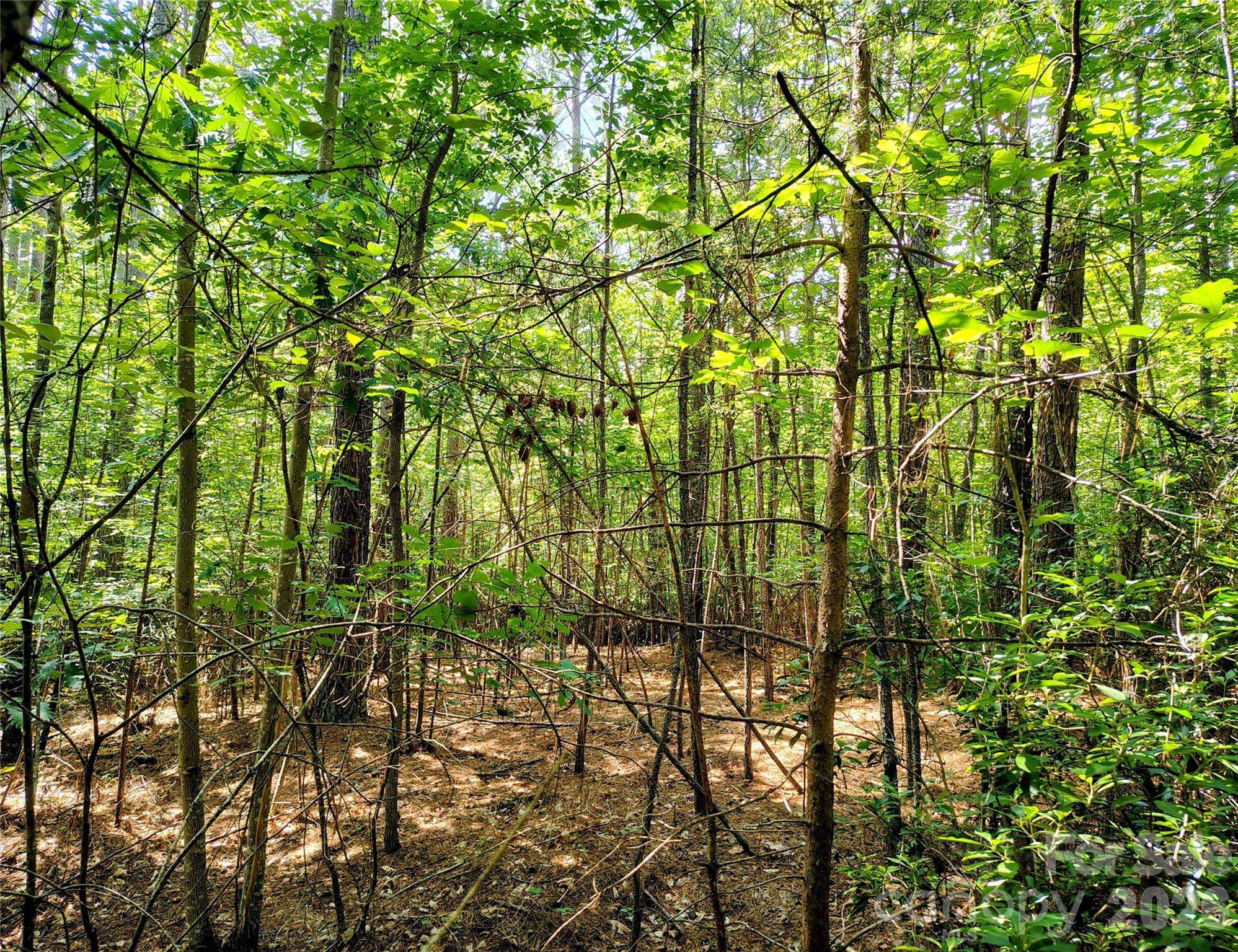 210 Harbor Ridge DR, Connelly Springs, NC 28612