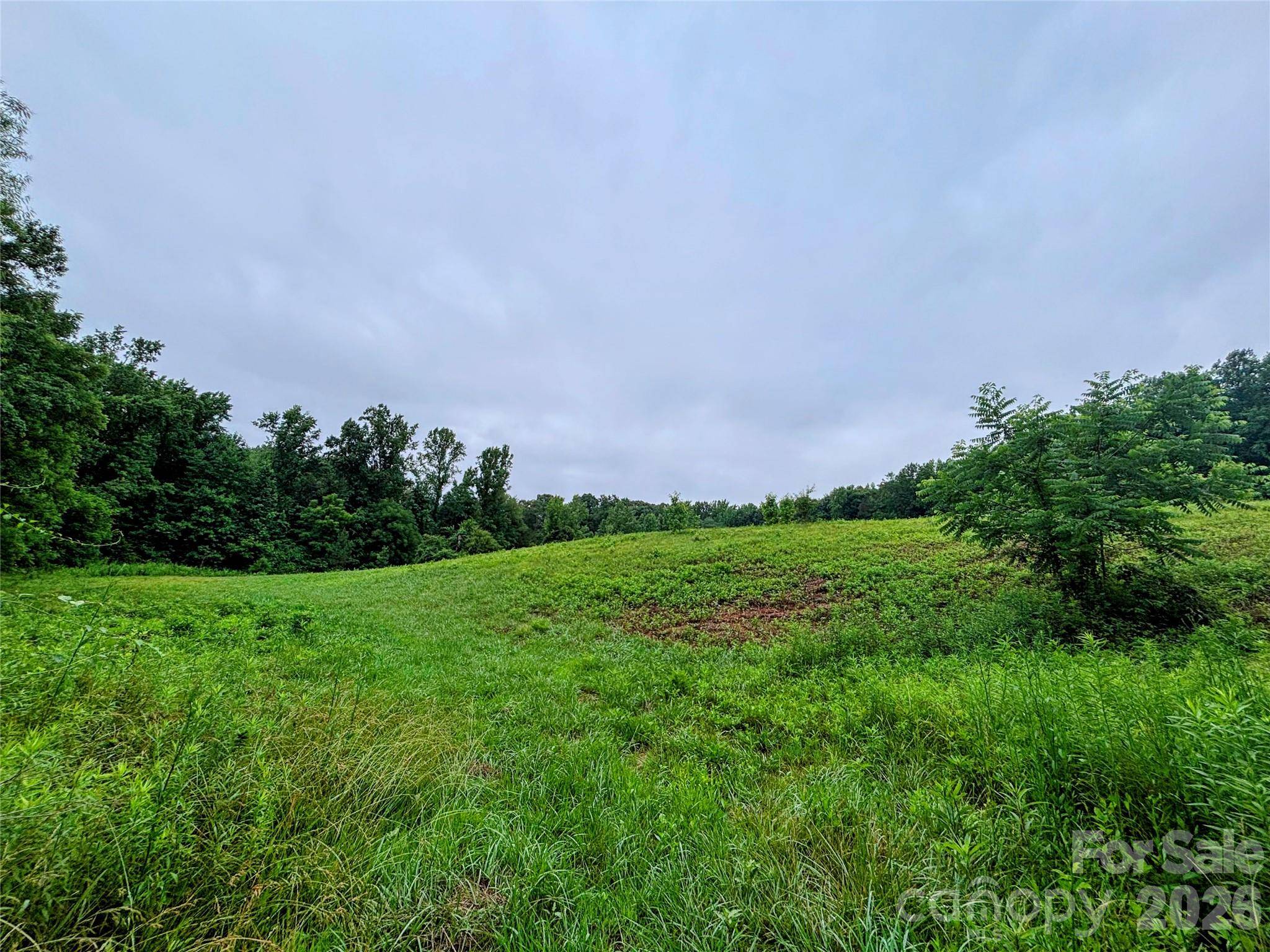 0 Cloud Top LN, Mooresville, NC 28115