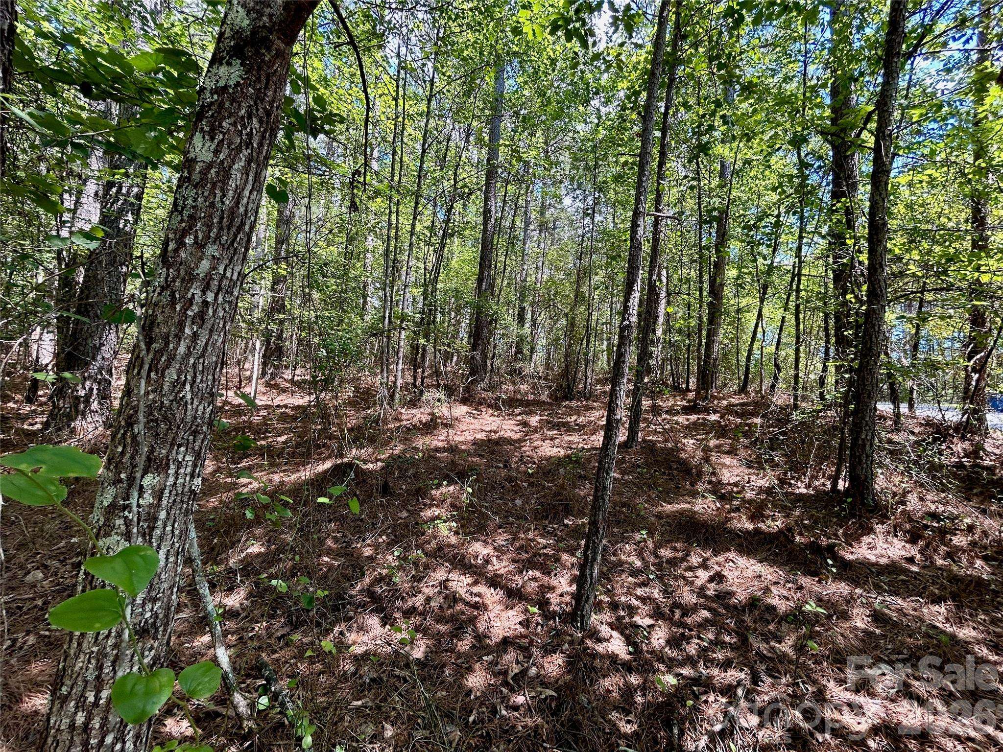 1074 W Hidden Cove LN, Connelly Springs, NC 28612