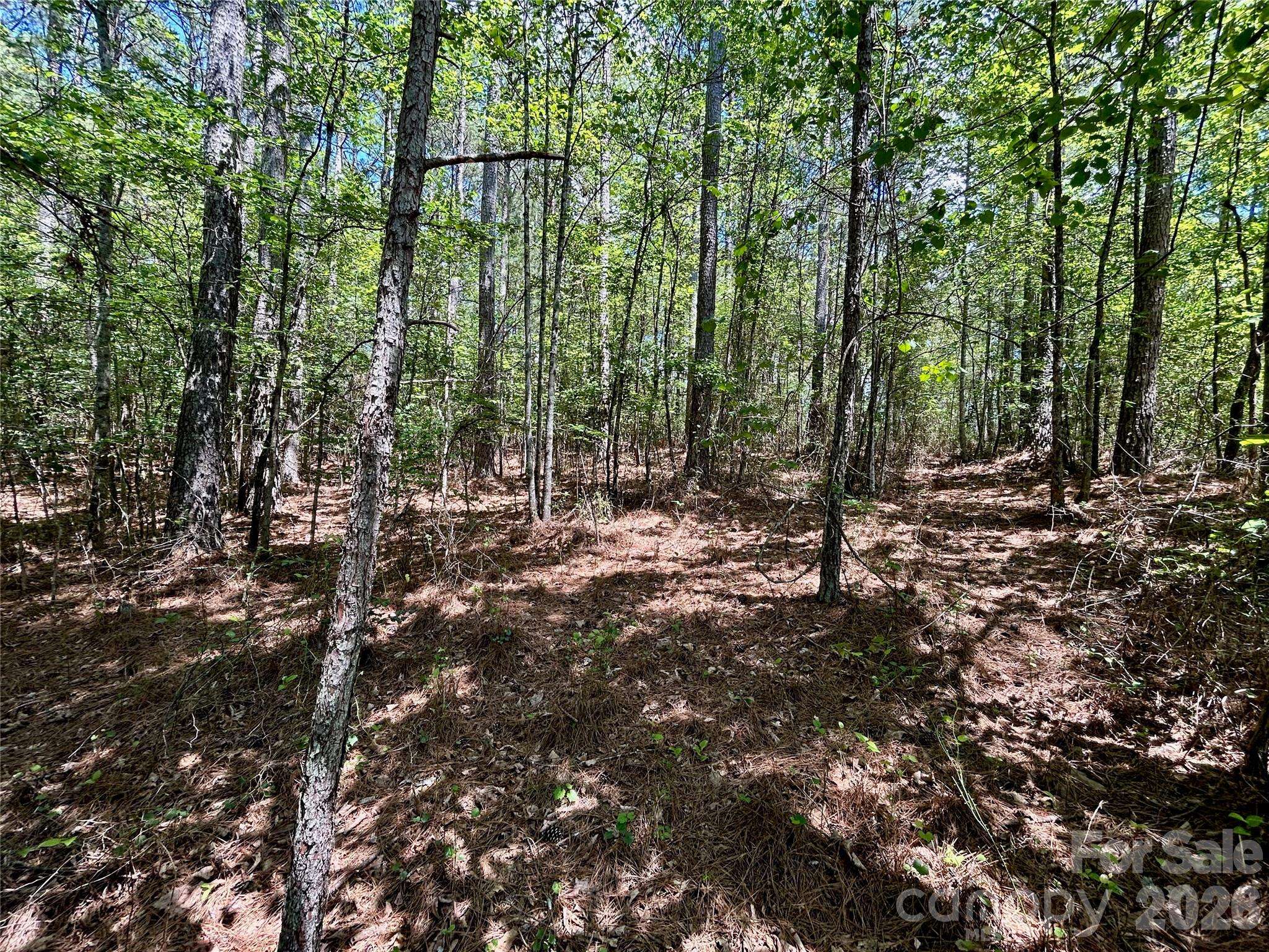 1074 W Hidden Cove LN, Connelly Springs, NC 28612