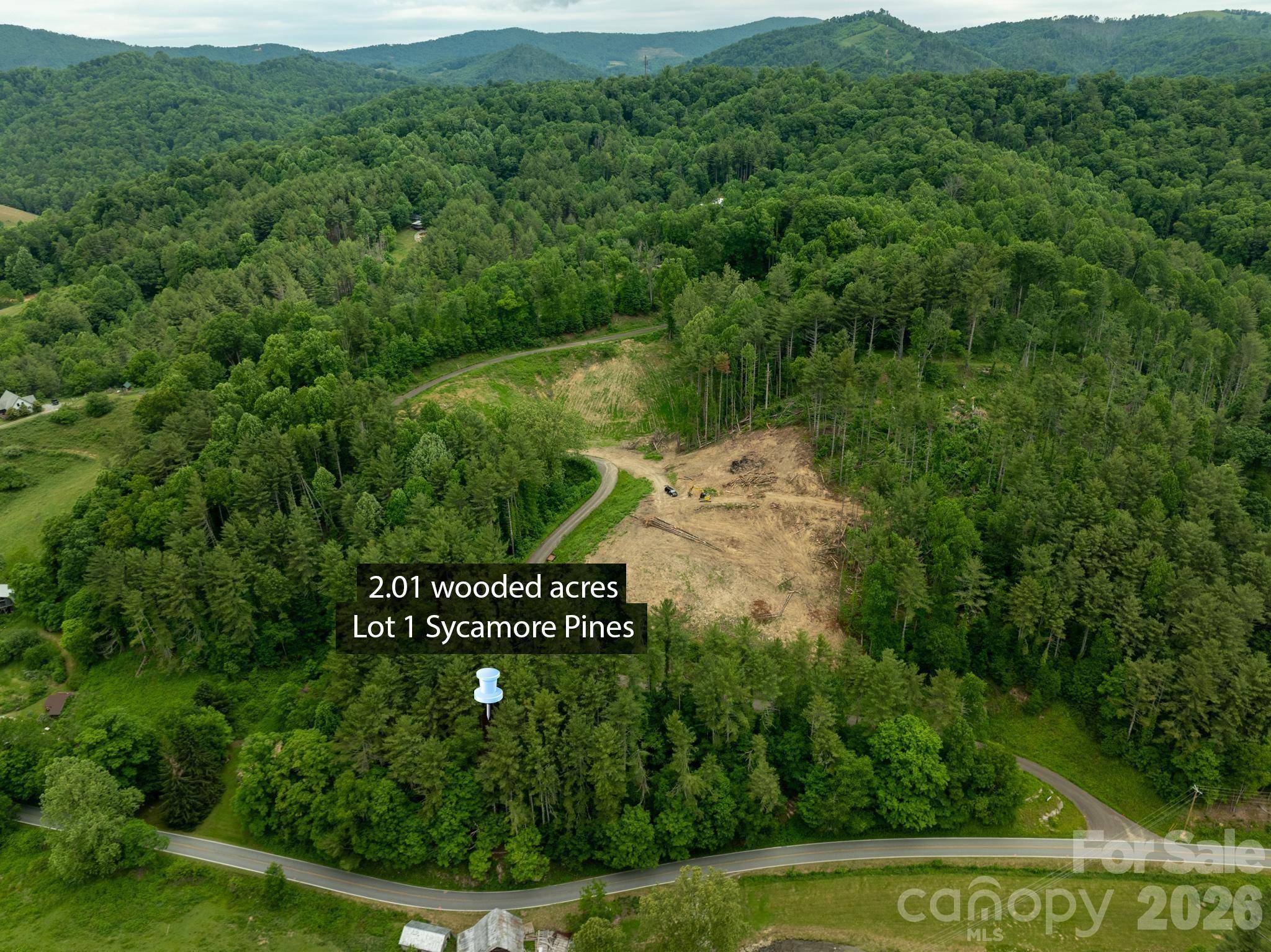 TBD Sycamore RD, Vilas, NC 28692