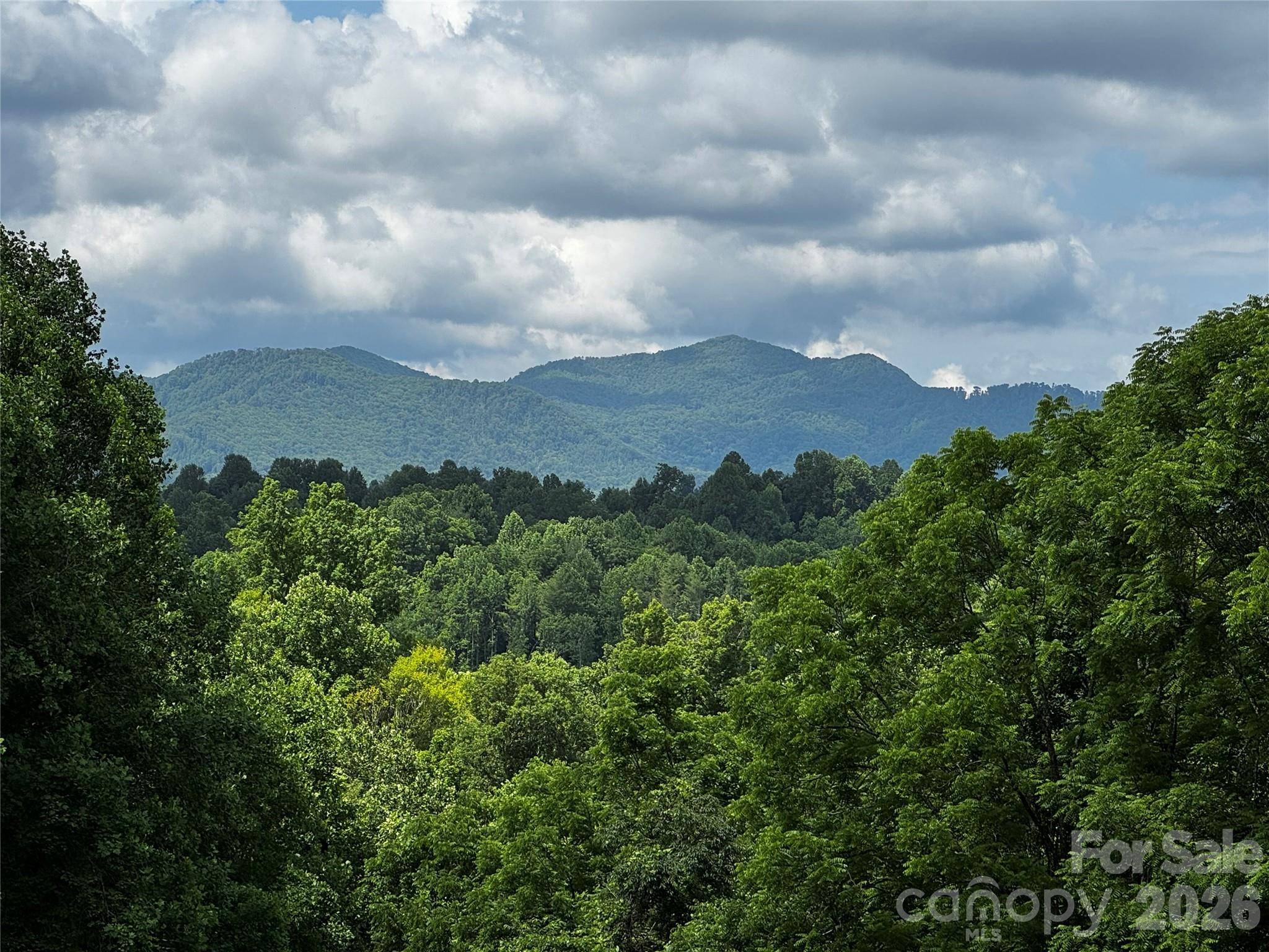 1327 NC 80 HWY, Bakersville, NC 28705