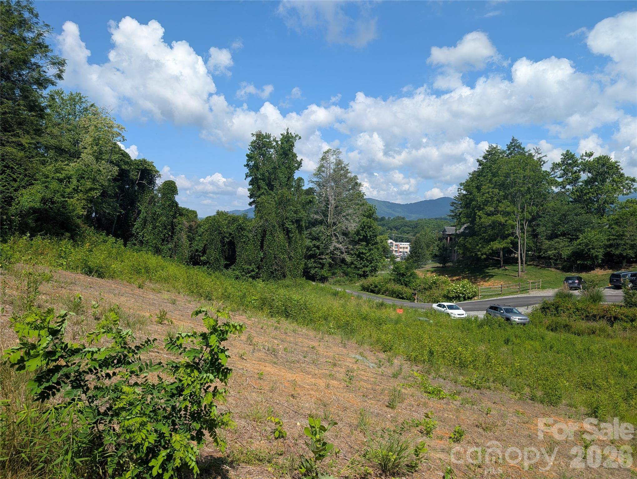 119 Randolph AVE, Black Mountain, NC 28711