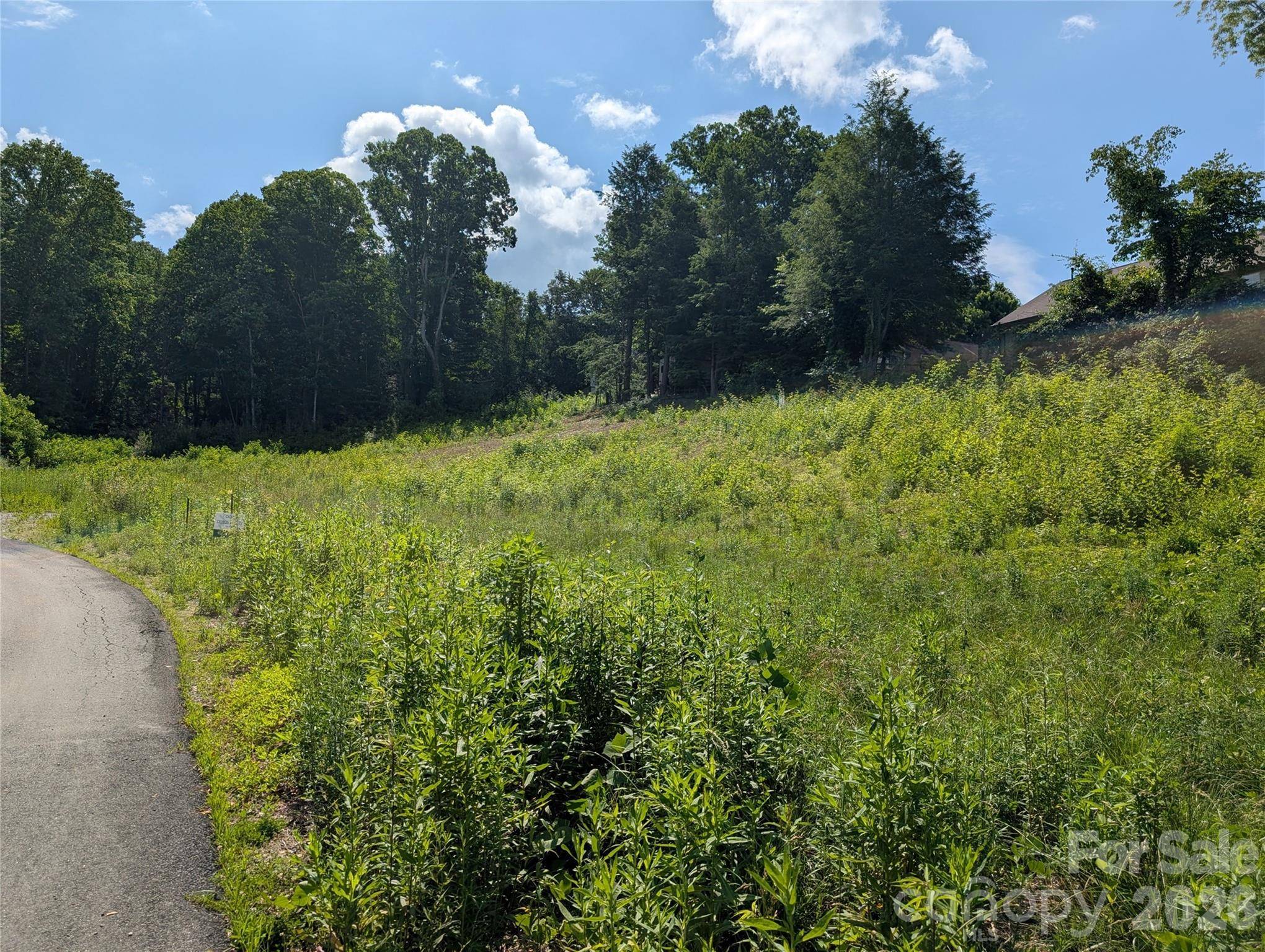 119 Randolph AVE, Black Mountain, NC 28711