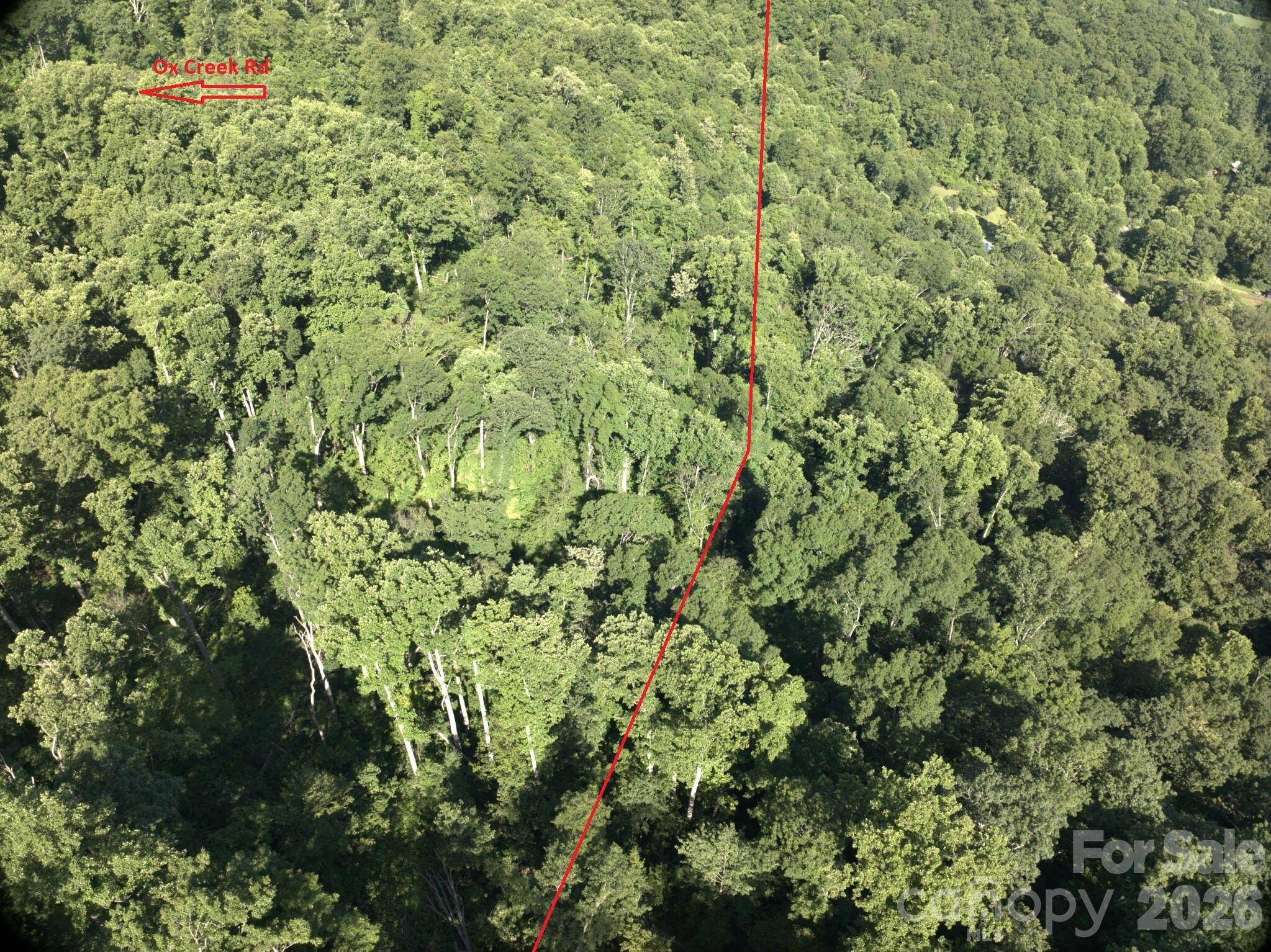 TBD Ox Creek RD, Weaverville, NC 28787
