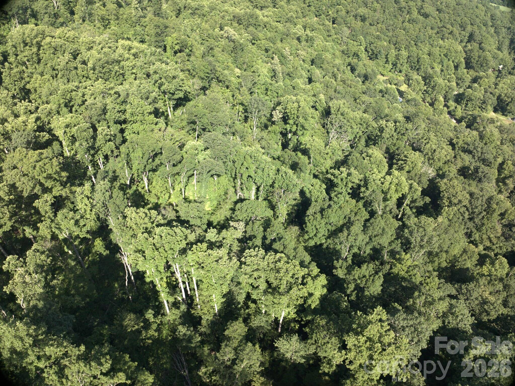 TBD Ox Creek RD, Weaverville, NC 28787