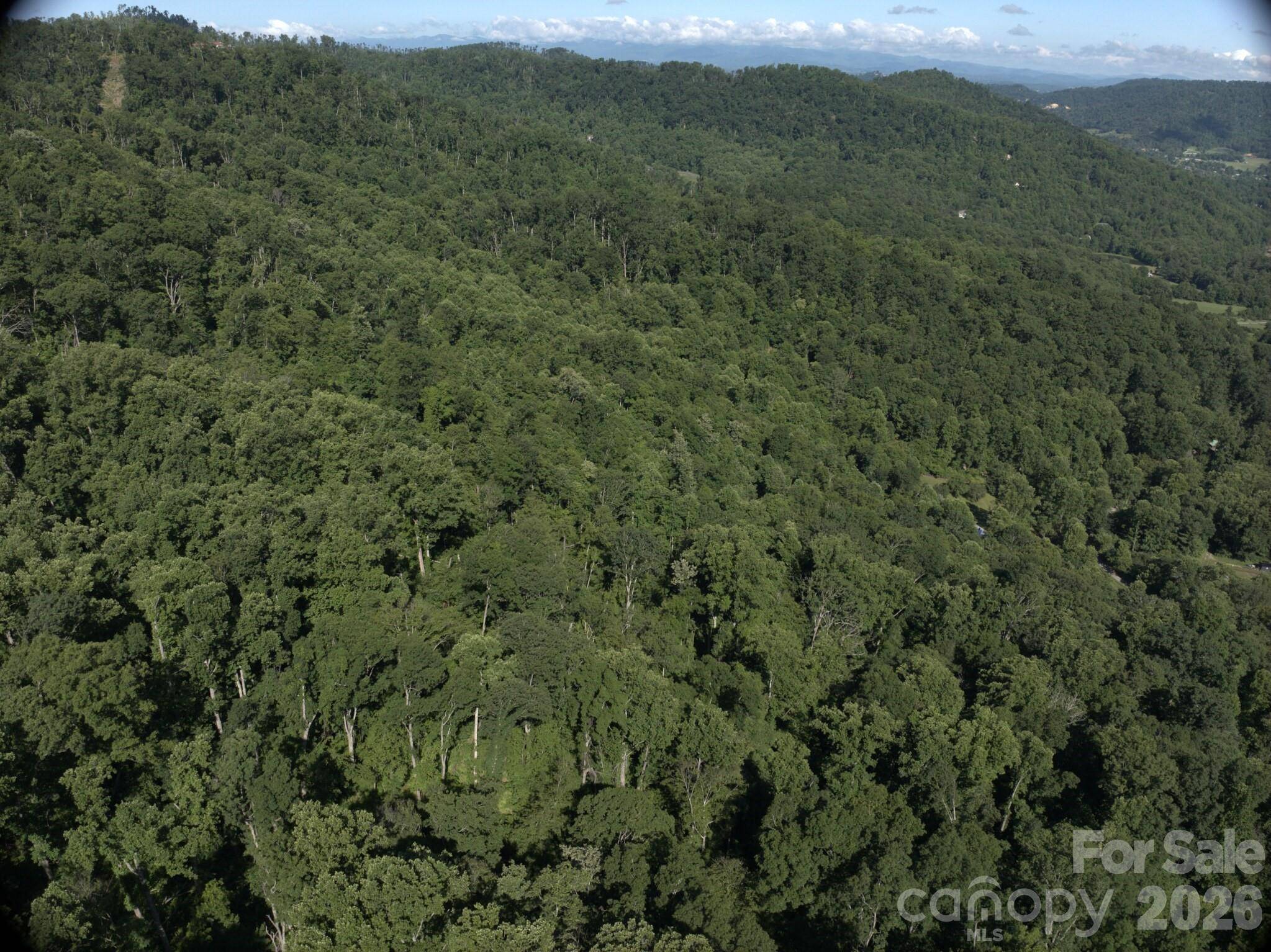 TBD Ox Creek RD, Weaverville, NC 28787