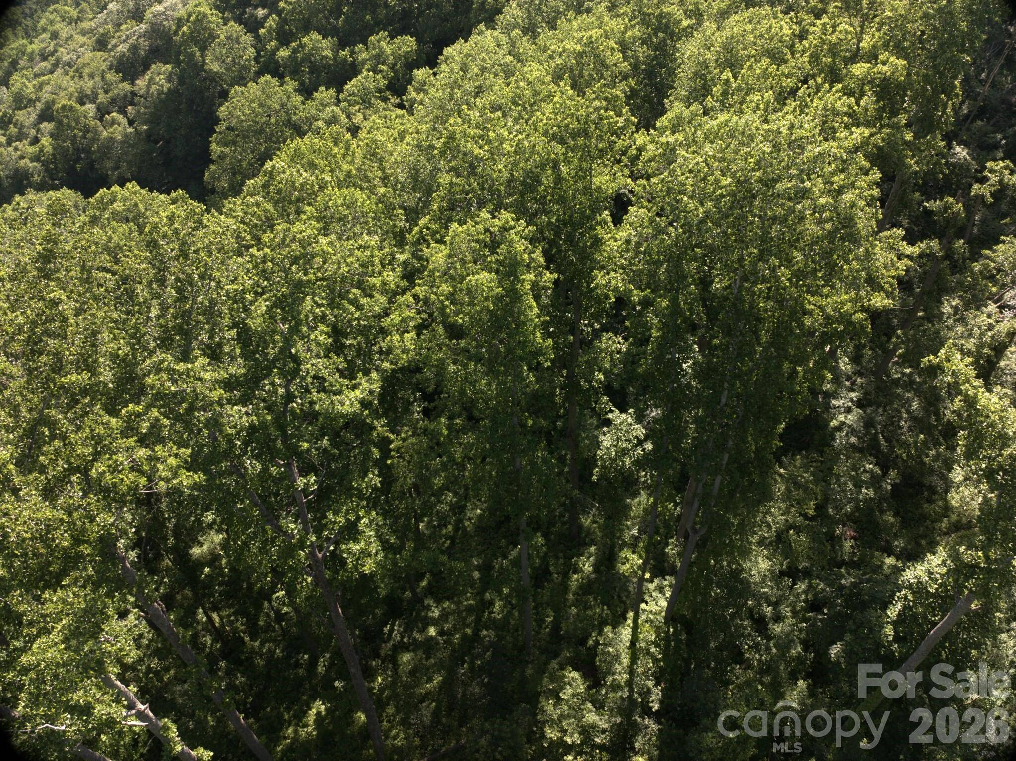 00 Ox Creek Crest LN, Weaverville, NC 28787